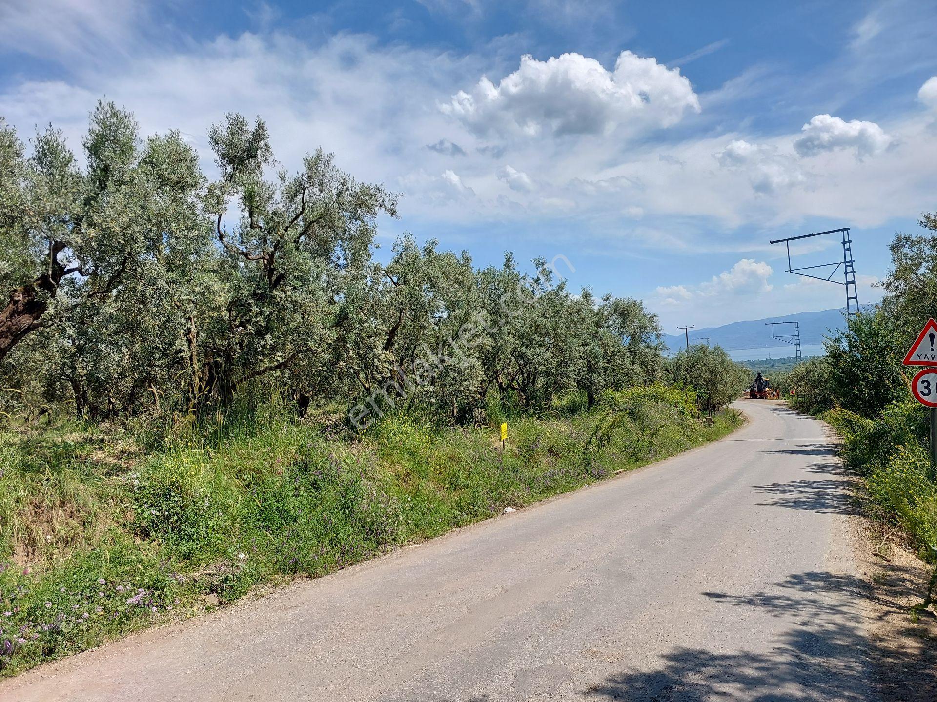 Bursa Orhangazi Yeniköyde Asfalt Cephe - Görsel 8