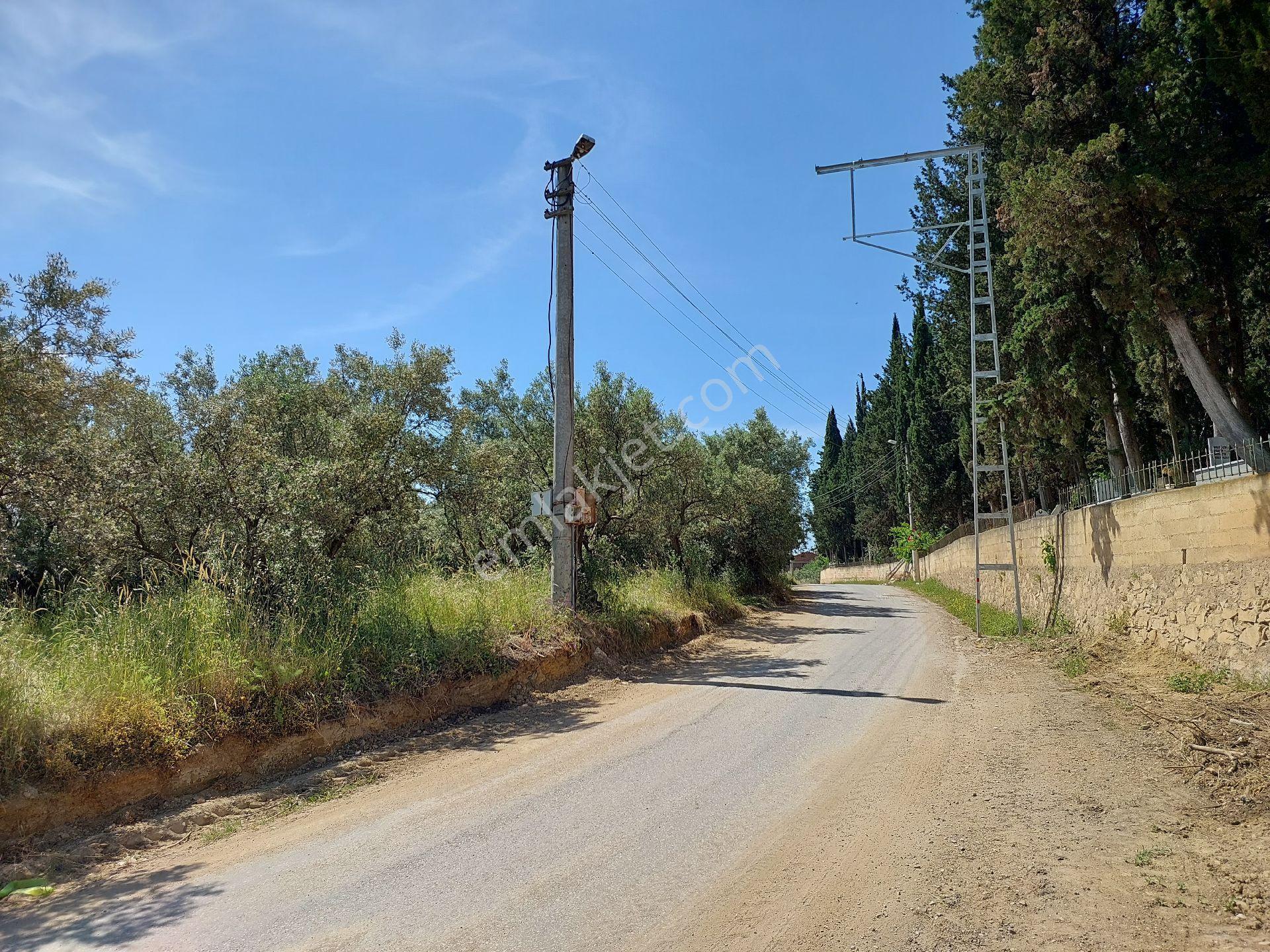 Bursa Orhangazi Yeniköyde Asfalt Cephe - Görsel 9