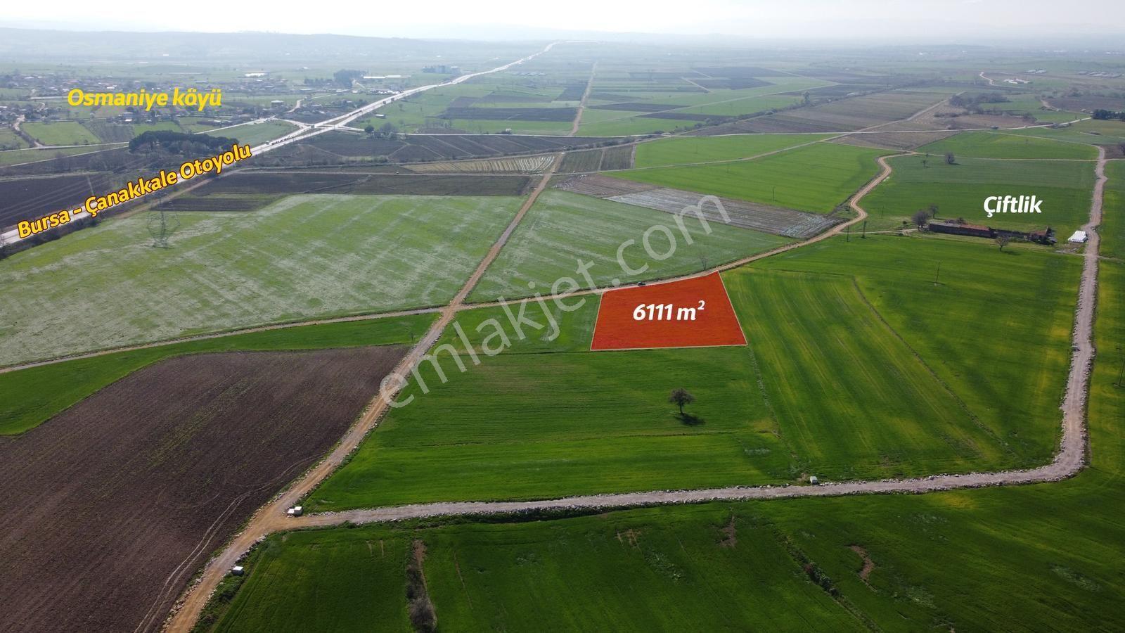 Biga Osmaniyede 6.111 M² Yola Cephe Satılık Arazi - Görsel 3