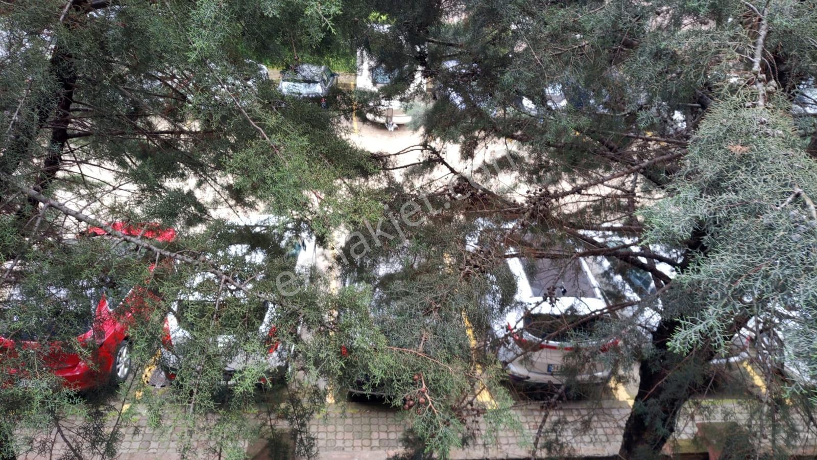 Beylikdüzü Barış Mah. Beyazcity Avm Yanı Satılık 3+1 Boş Daire - Görsel 16