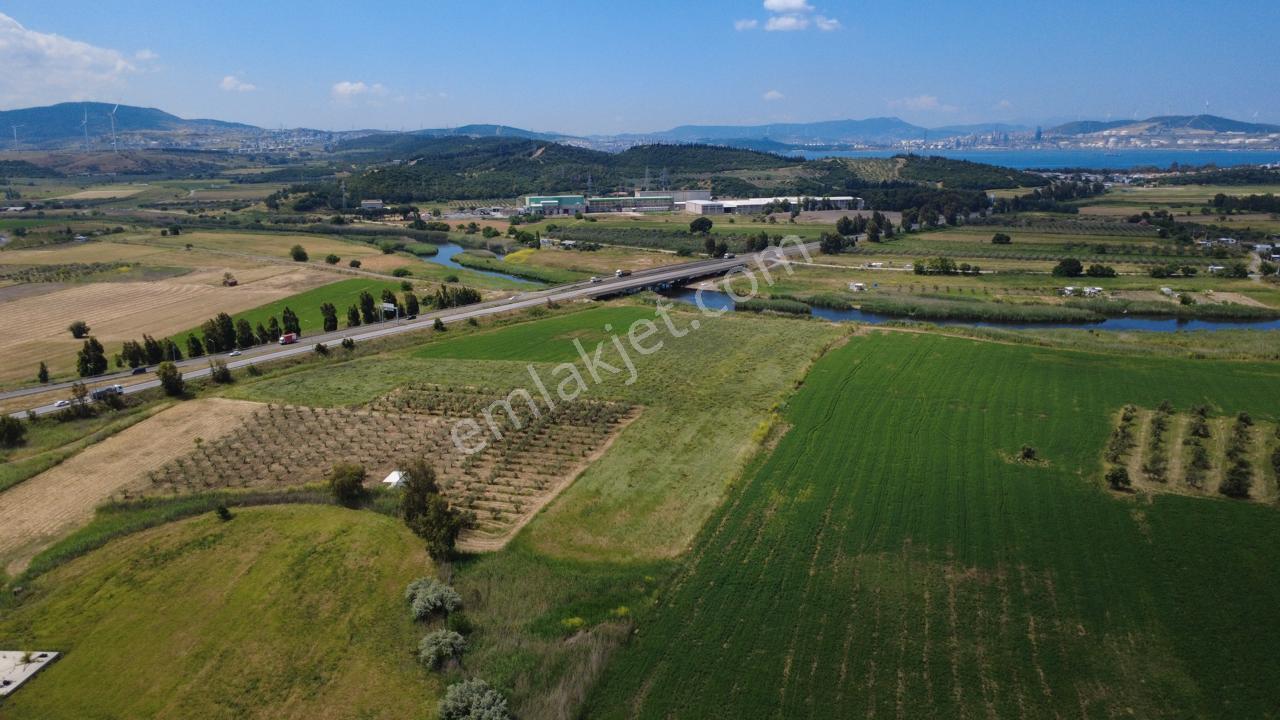 Yalı Mahallesi Adacık Mevkinde 7358m2 Tek Tapu Yola Cephe - Görsel 23
