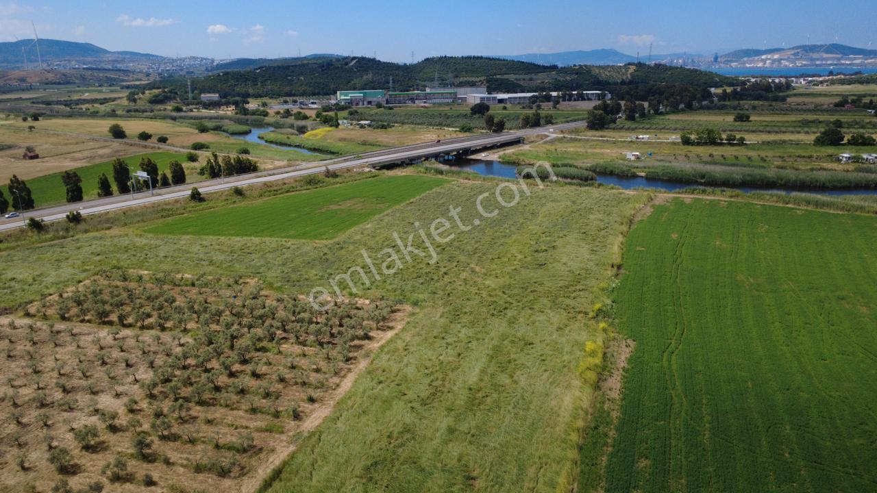 Yalı Mahallesi Adacık Mevkinde 7358m2 Tek Tapu Yola Cephe - Görsel 3