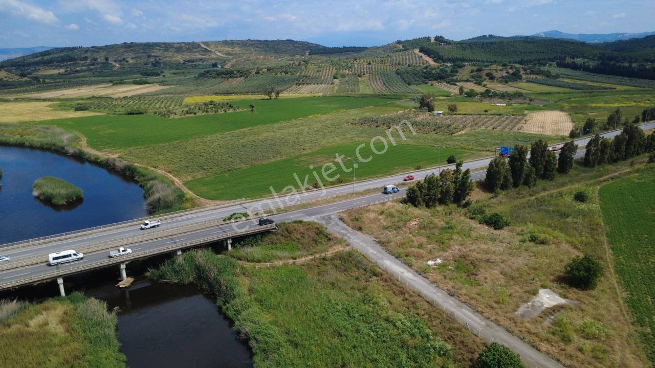 Yalı Mahallesi Adacık Mevkinde 7358m2 Tek Tapu Yola Cephe - Görsel 16