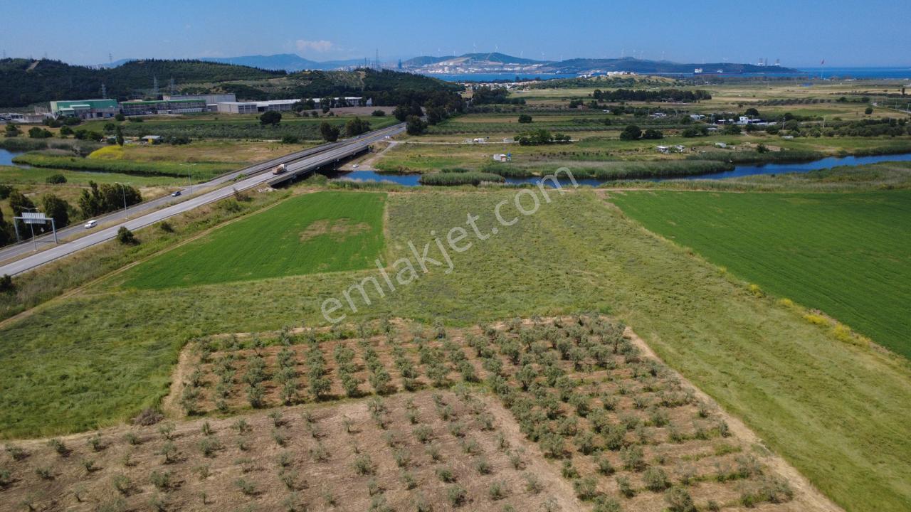 Yalı Mahallesi Adacık Mevkinde 7358m2 Tek Tapu Yola Cephe - Görsel 2
