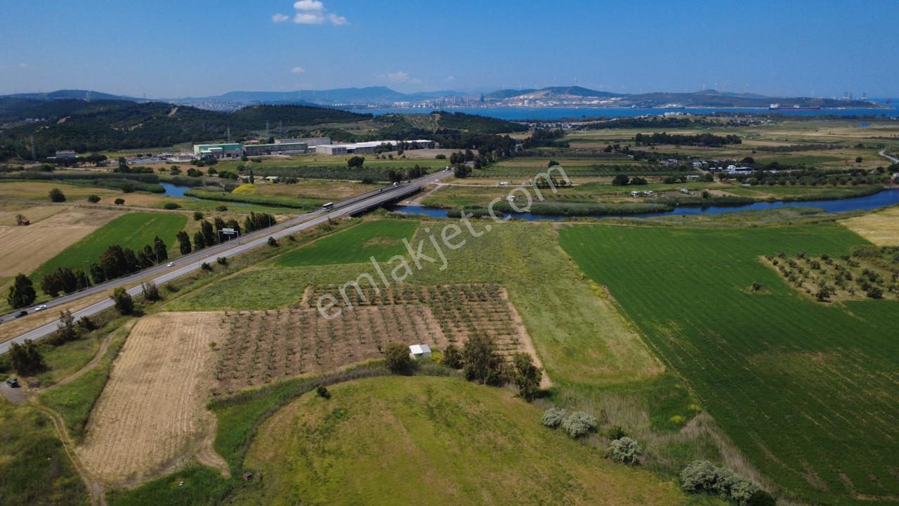 Yalı Mahallesi Adacık Mevkinde 7358m2 Tek Tapu Yola Cephe - Görsel 22