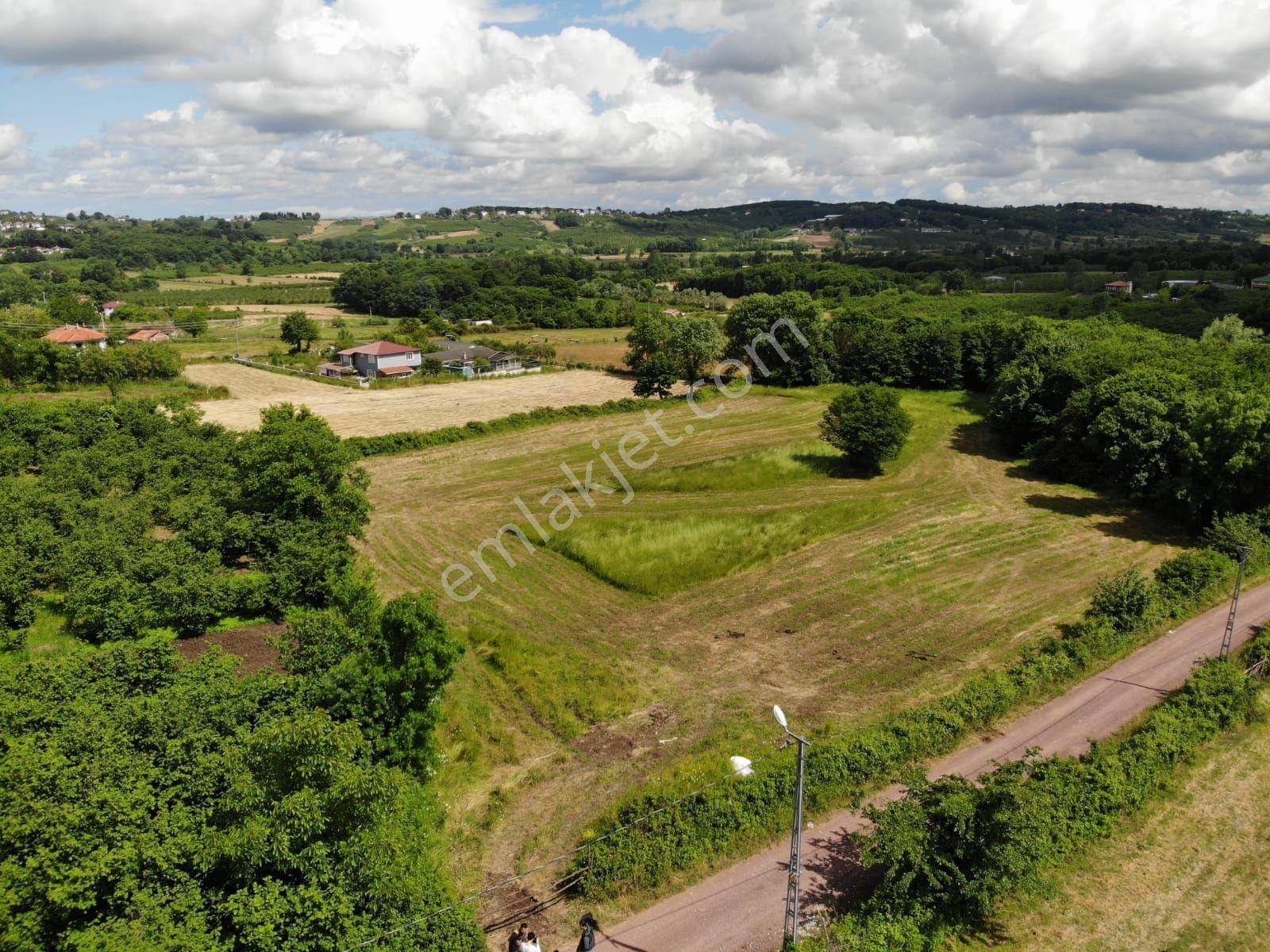Karaağaç' Ta Yola 70 M2 Çephe Fırsat 8780m2 Tarla - Görsel 7