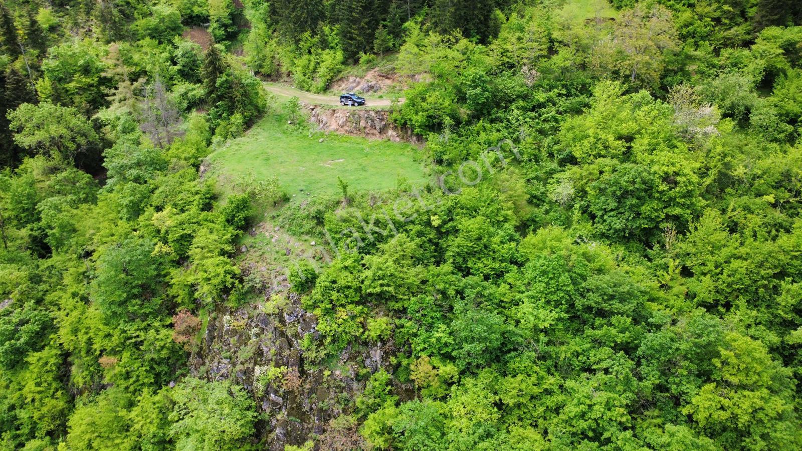 Trabzon Maçka'da Satılık Arazi - Görsel 19