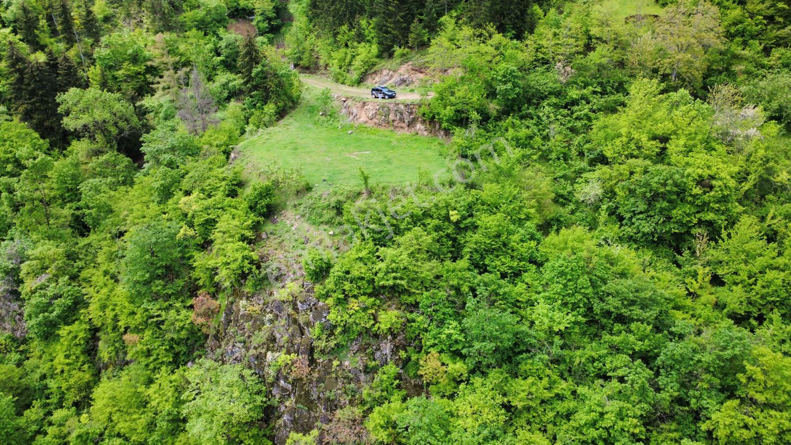 Trabzon Maçka'da Satılık Arazi - Görsel 18