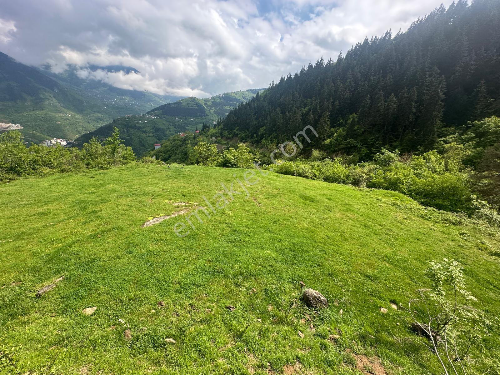 Trabzon Maçka'da Satılık Arazi - Görsel 3
