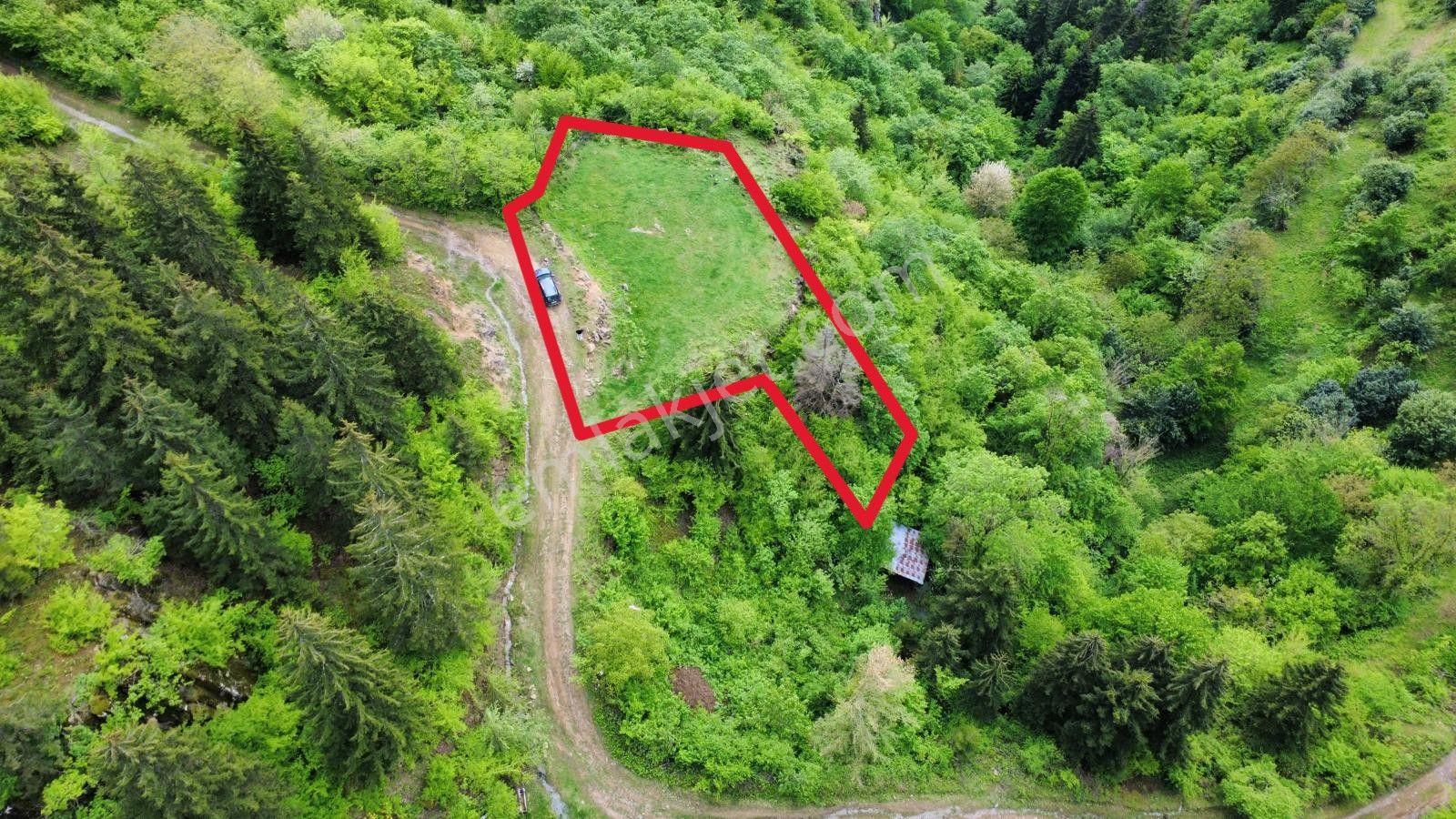 Trabzon Maçka'da Satılık Arazi - Görsel 10