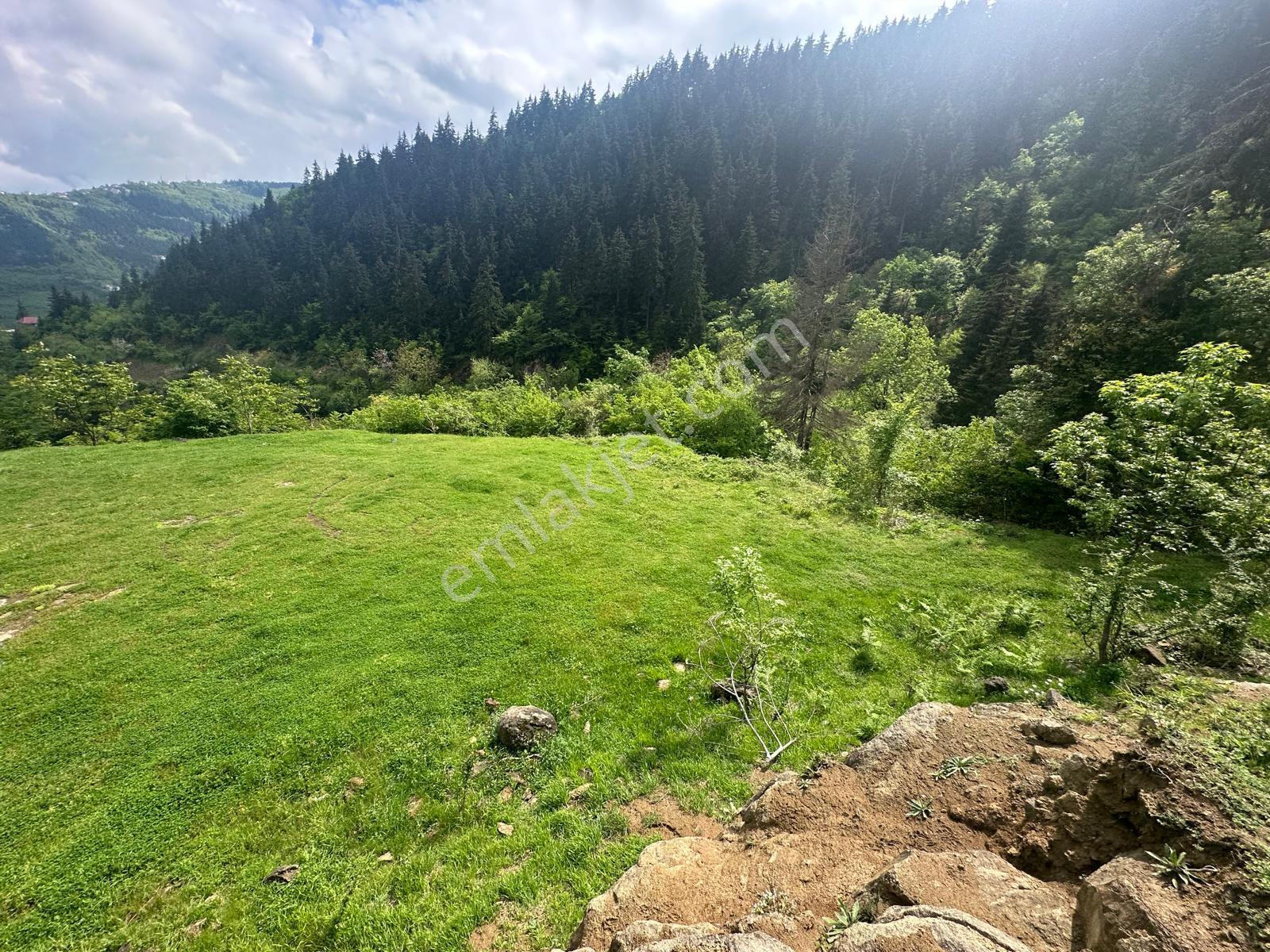 Trabzon Maçka'da Satılık Arazi - Görsel 7