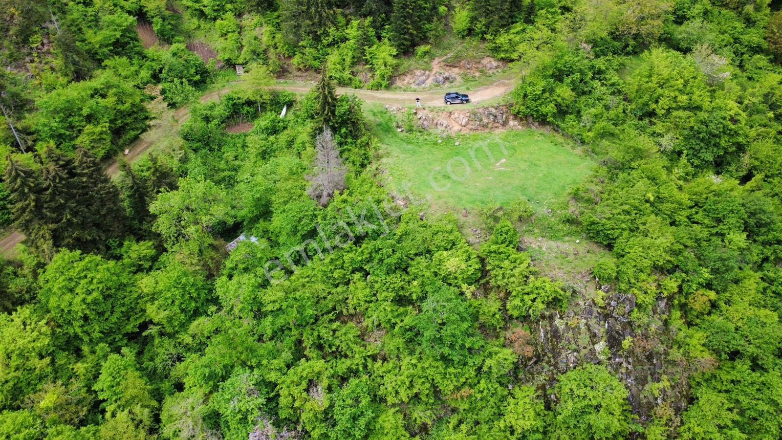 Trabzon Maçka'da Satılık Arazi - Görsel 28