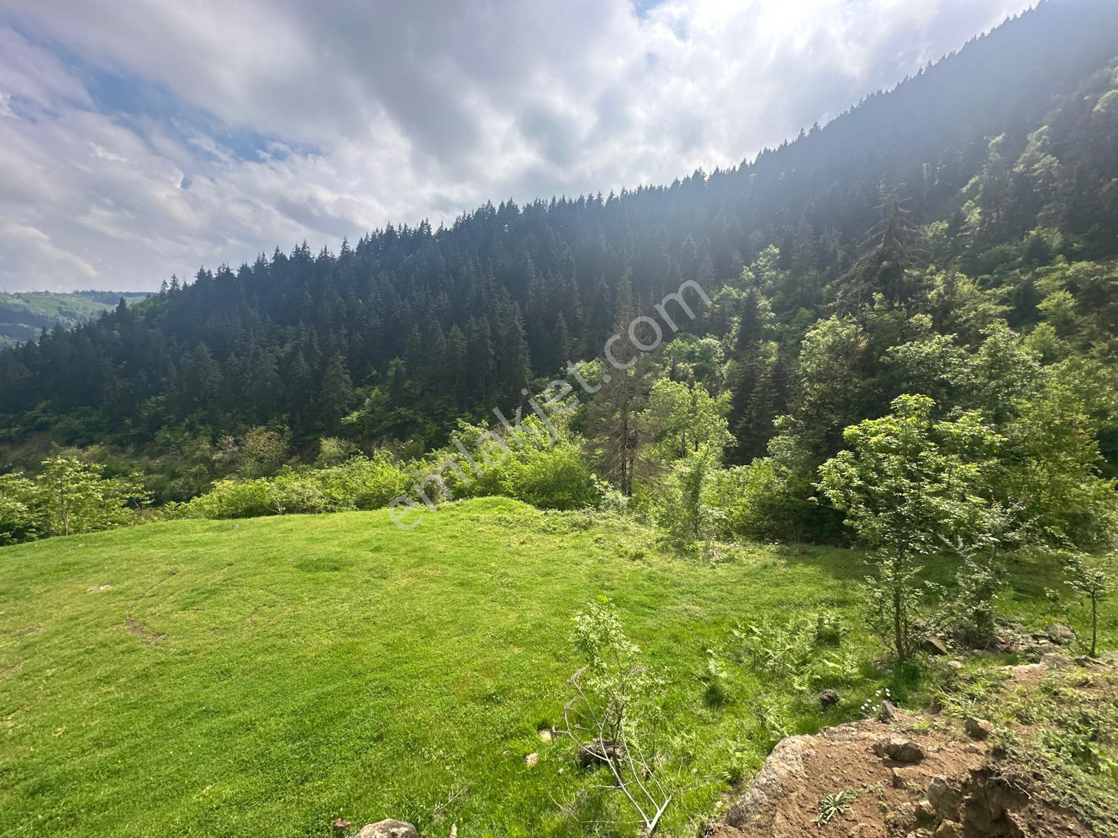 Trabzon Maçka'da Satılık Arazi - Görsel 12