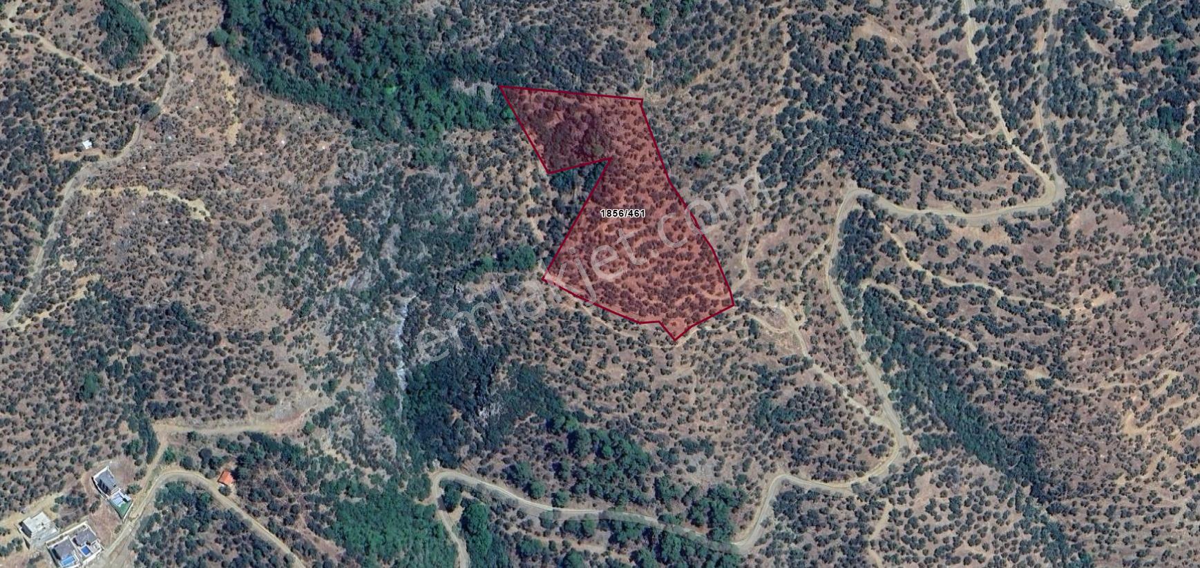 Kardeş'ten Altınolukta İmara Yakın Panoramik Deniz Manzaralı 13 Dönüm Zeytinlik - Görsel 4