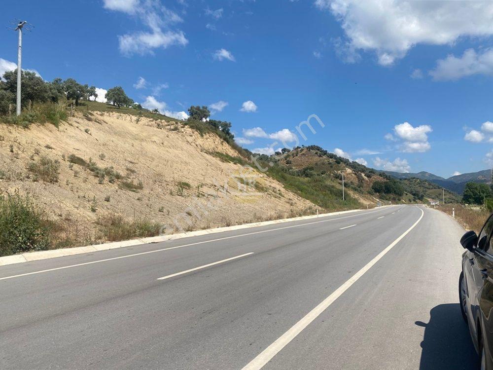Hb'den Satılık Zeytinlik, Etrafı Çevirili, Verimli, 175 Ağaçlı - Görsel 31