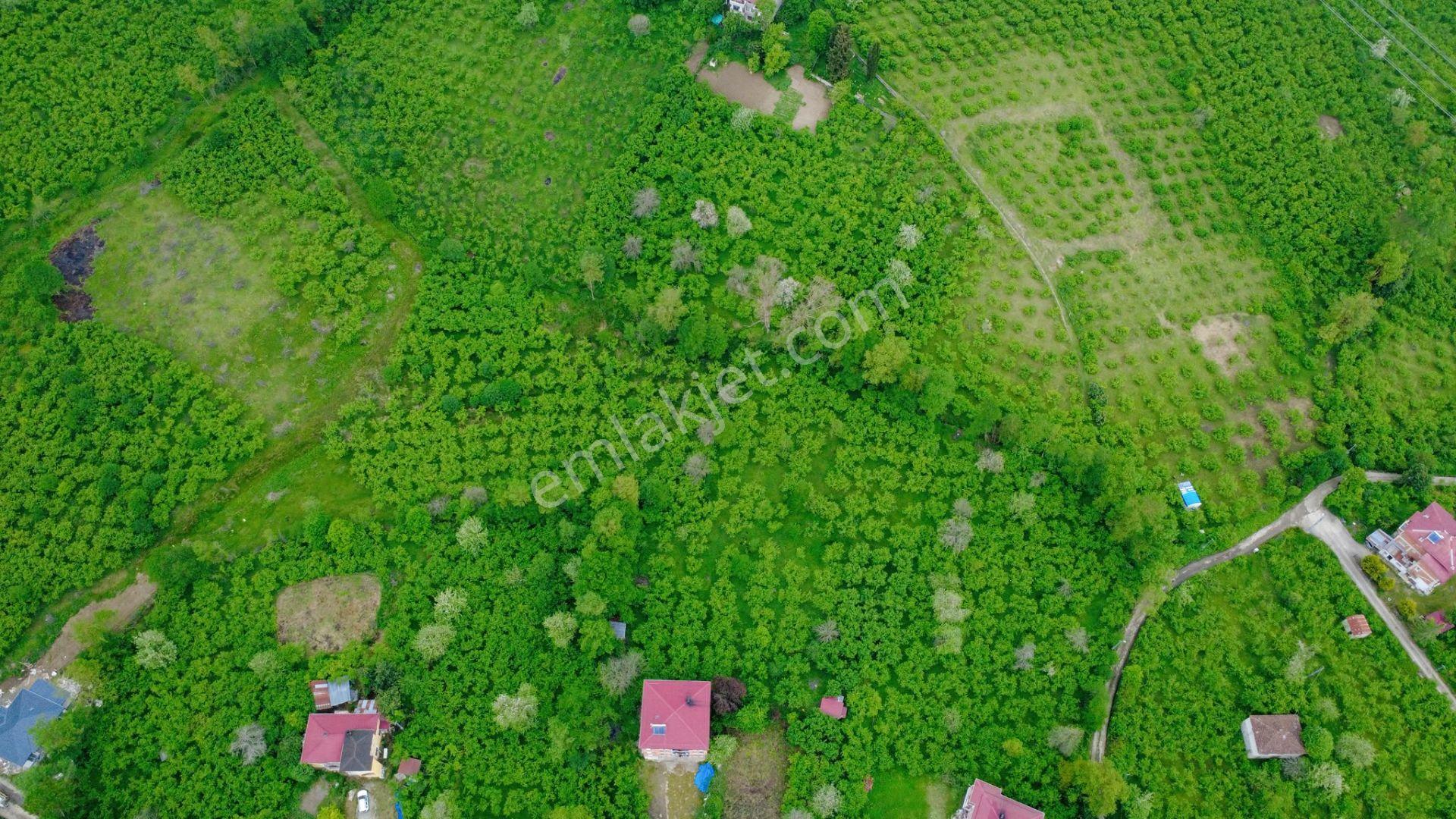 Trabzon Gölçayır Mahallesinde Satılık 2715 M2 Arazi - Görsel 3