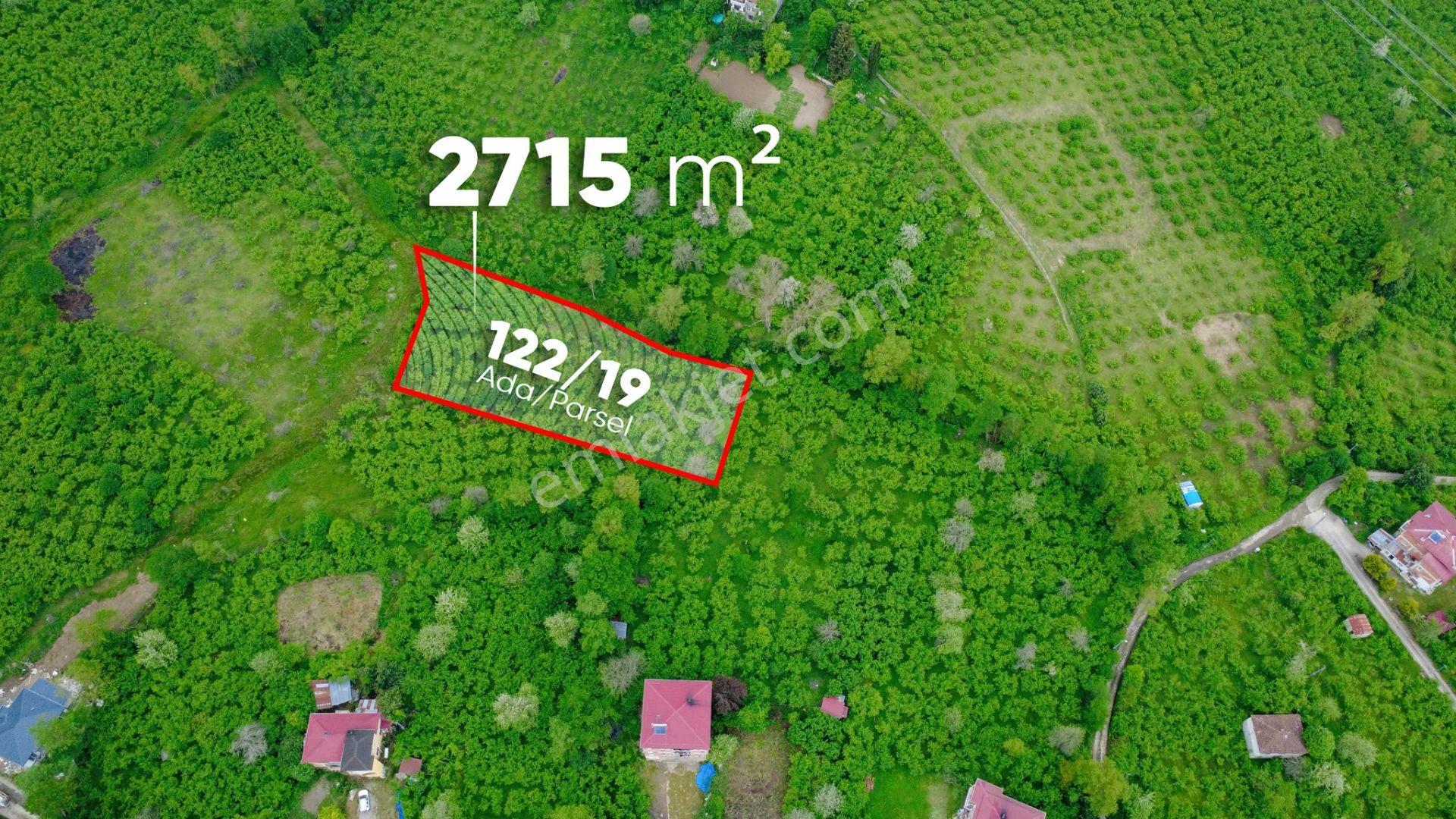 Trabzon Gölçayır Mahallesinde Satılık 2715 M2 Arazi - Görsel 4