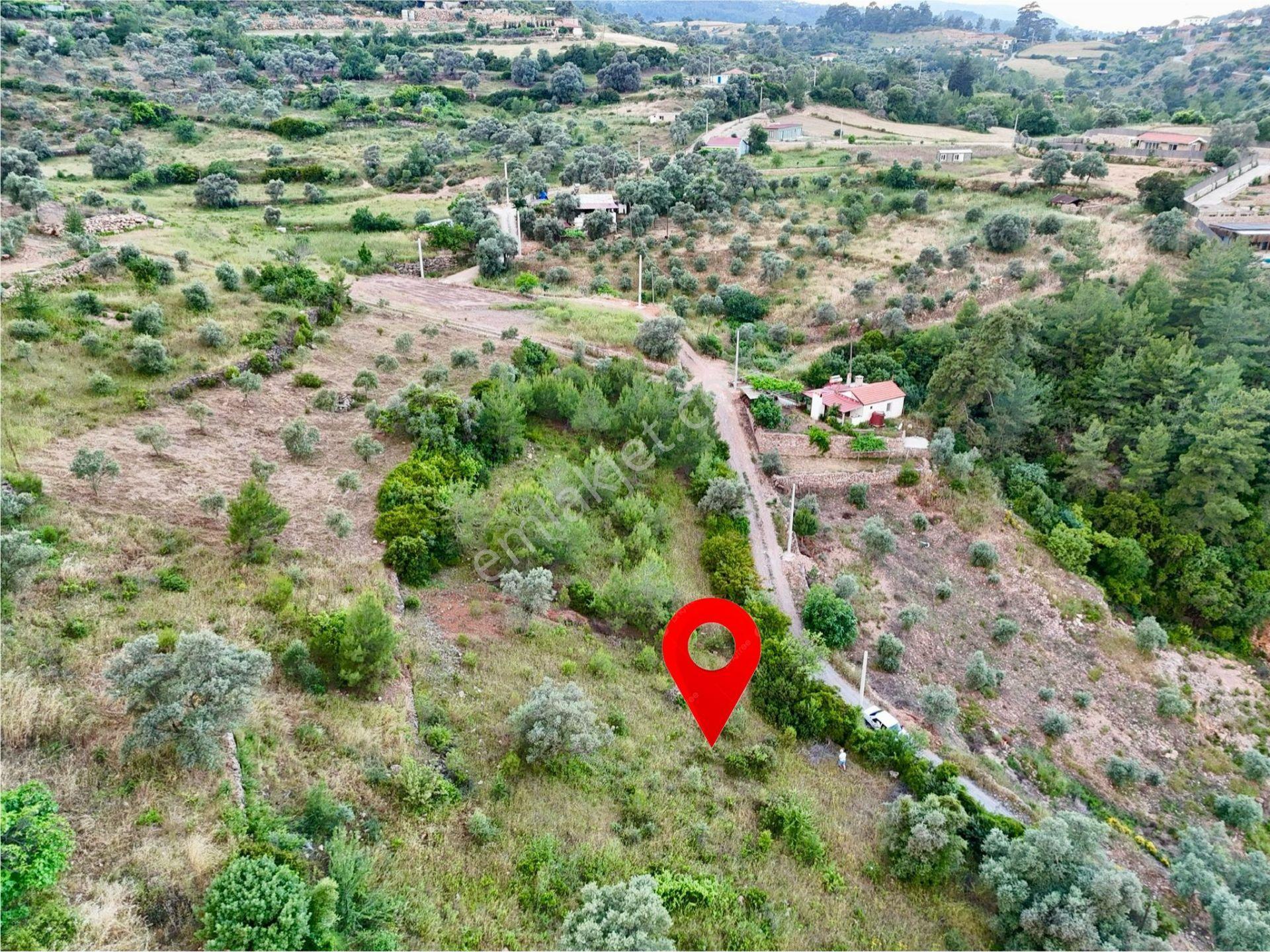 1270m² Zeytinköy’de Gökova’ya Yakın Yatırımlık Premium Tarla - Görsel 8