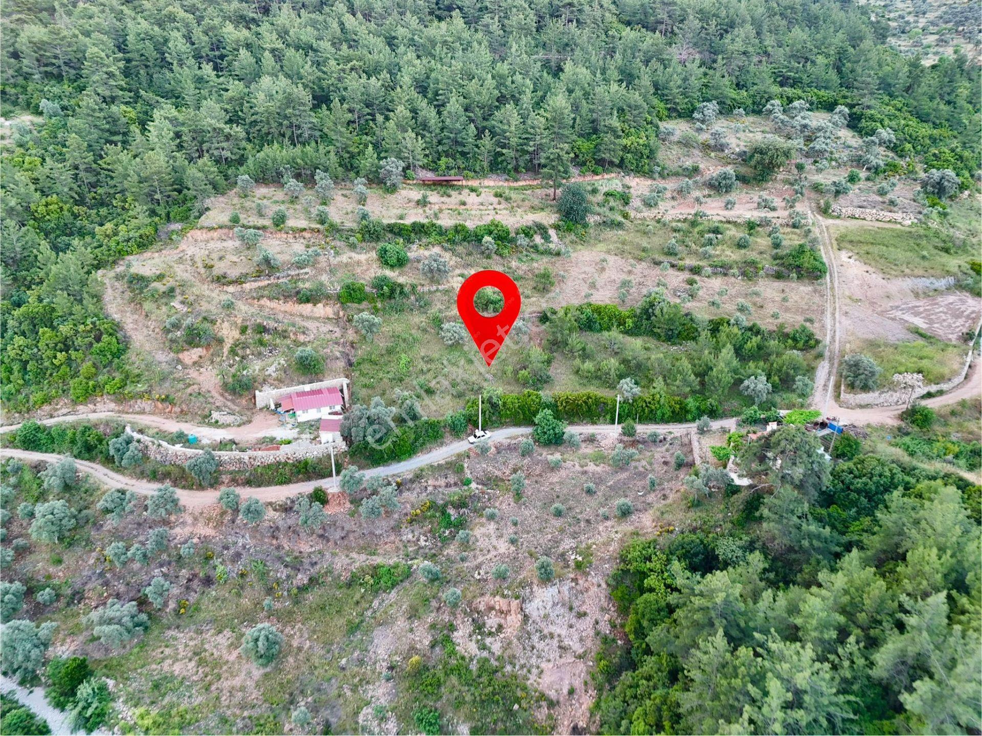 1270m² Zeytinköy’de Gökova’ya Yakın Yatırımlık Premium Tarla - Görsel 14