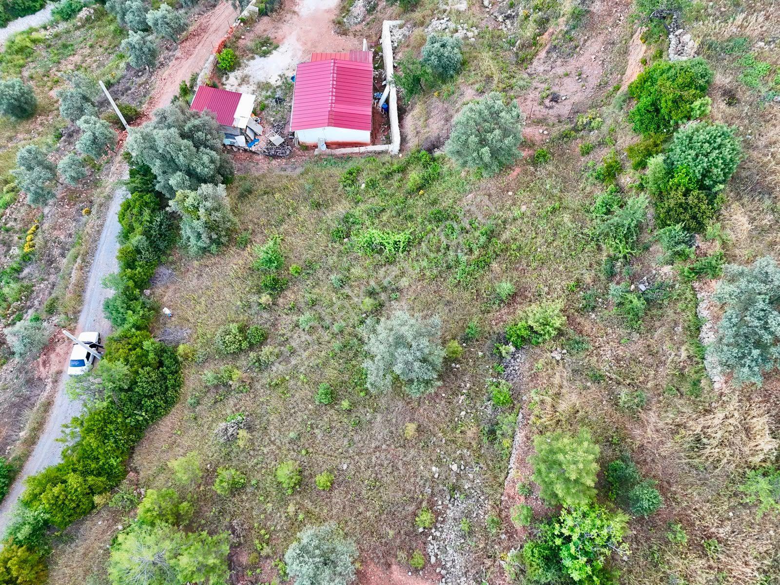 1270m² Zeytinköy’de Gökova’ya Yakın Yatırımlık Premium Tarla - Görsel 12