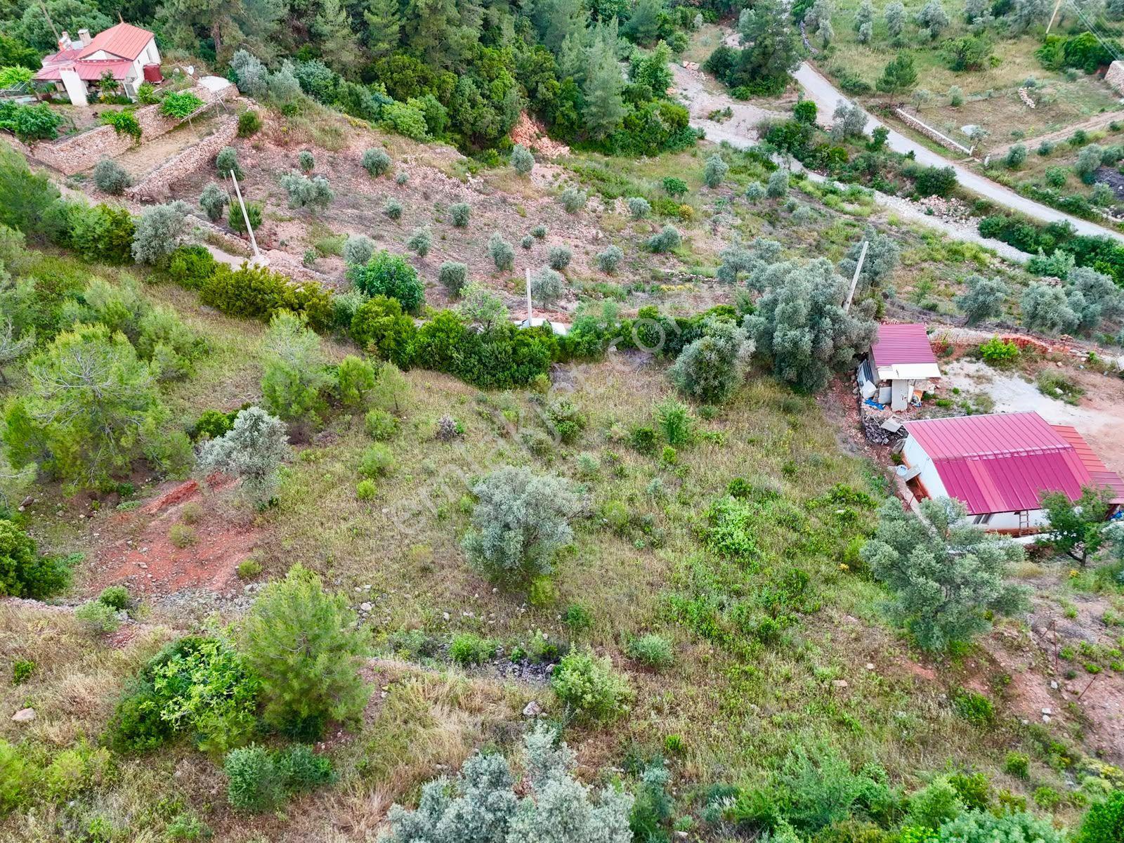 1270m² Zeytinköy’de Gökova’ya Yakın Yatırımlık Premium Tarla - Görsel 15