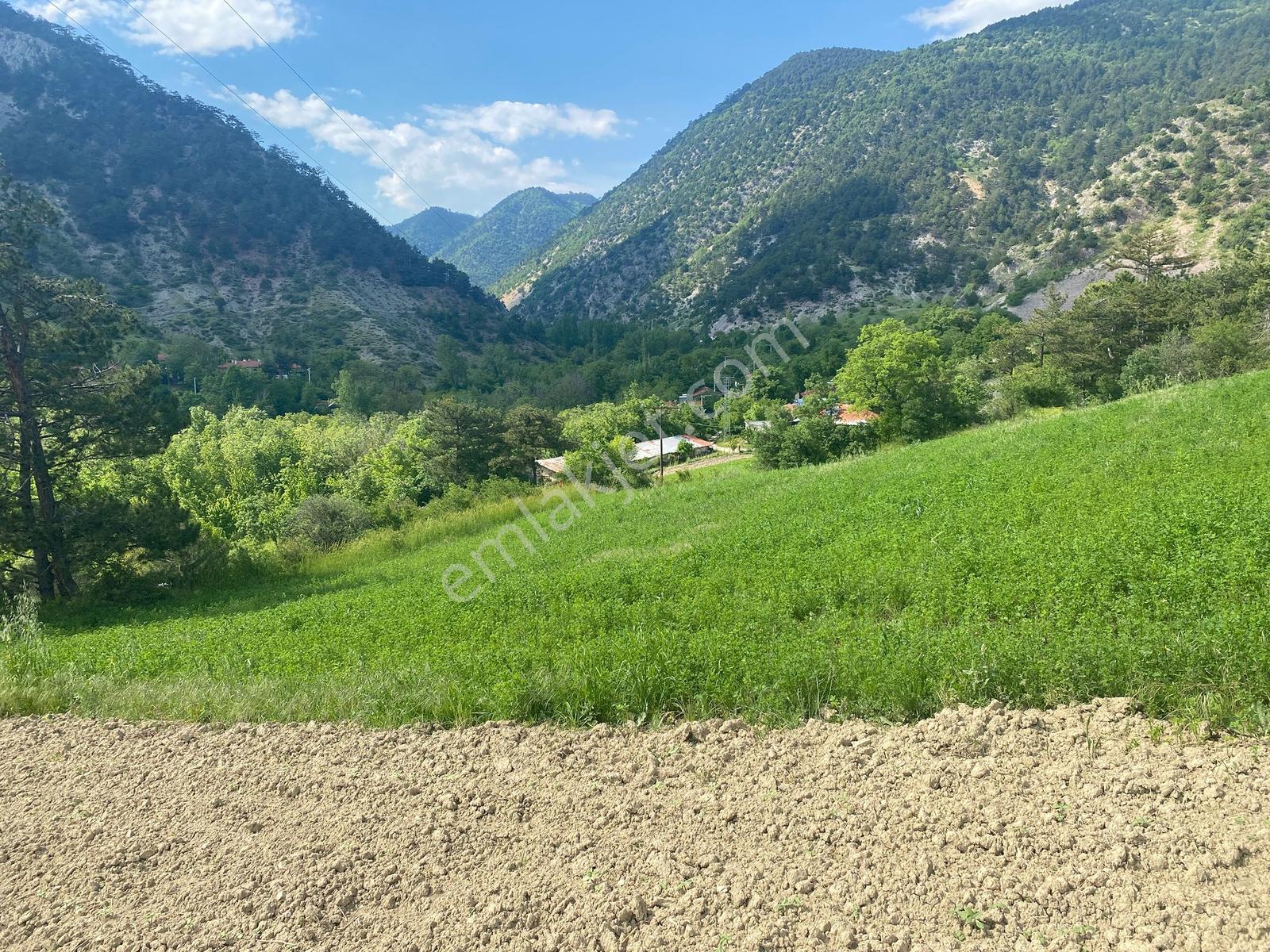 Doğa İle İç İçe Yatırıma Uygun Satılık 2.616 M2 Göynükte Tarla - Görsel 7