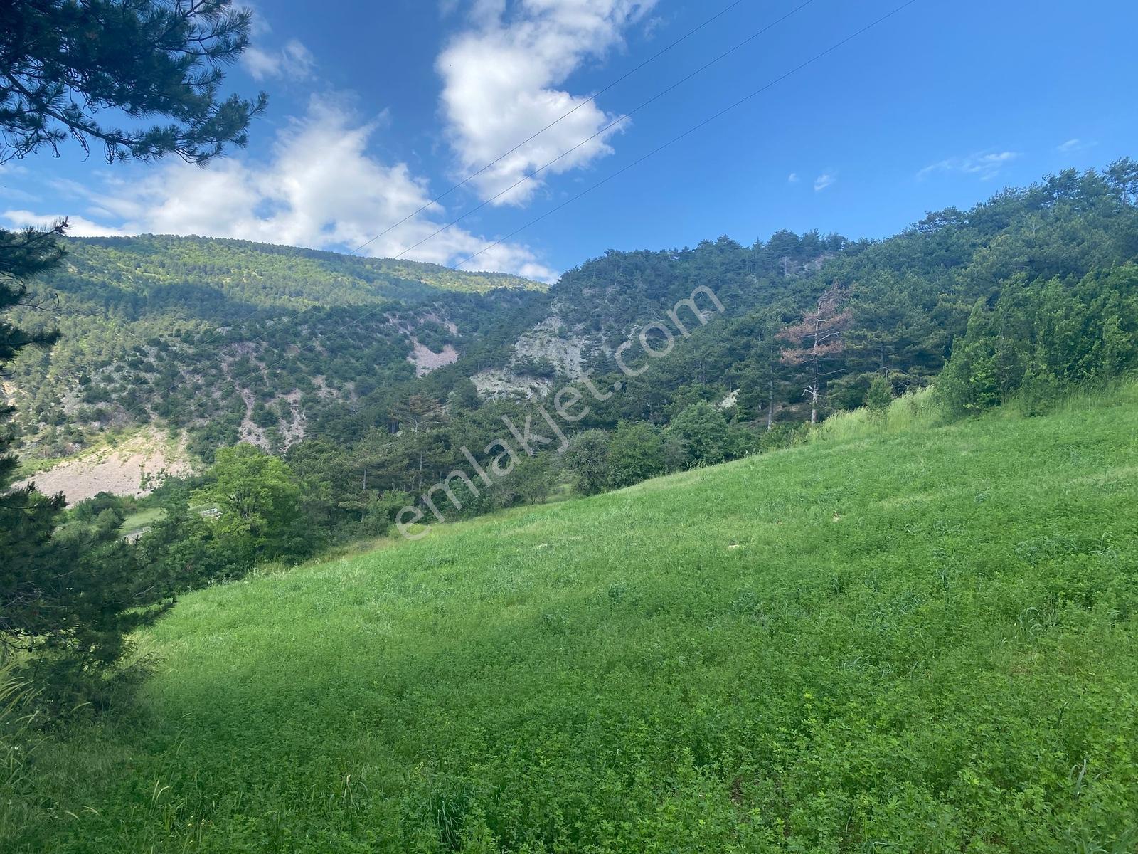 Doğa İle İç İçe Yatırıma Uygun Satılık 2.616 M2 Göynükte Tarla - Görsel 5