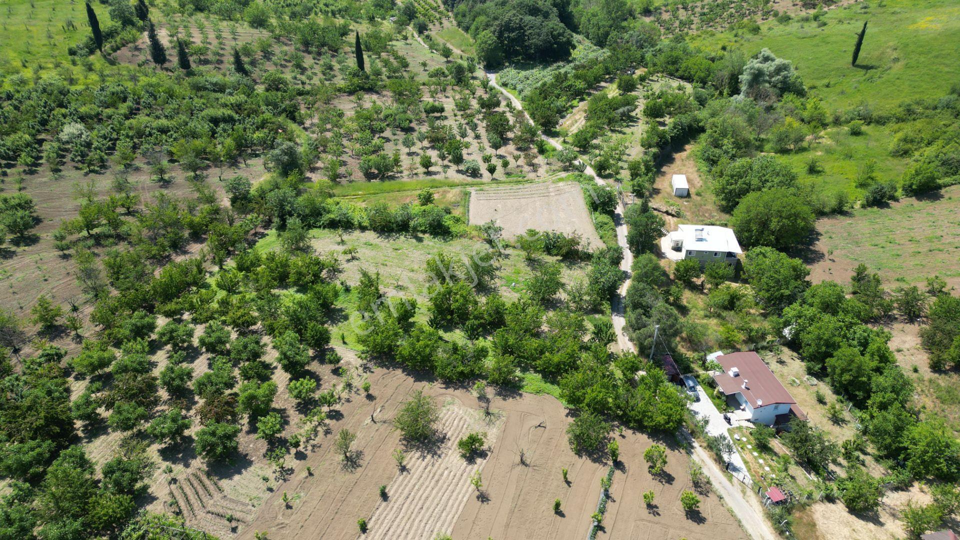 Uzmanlar'dan Karamürsel Akçat 1440 M2 %5 İmarlı Satılık Meyve Bahçesi - Görsel 14
