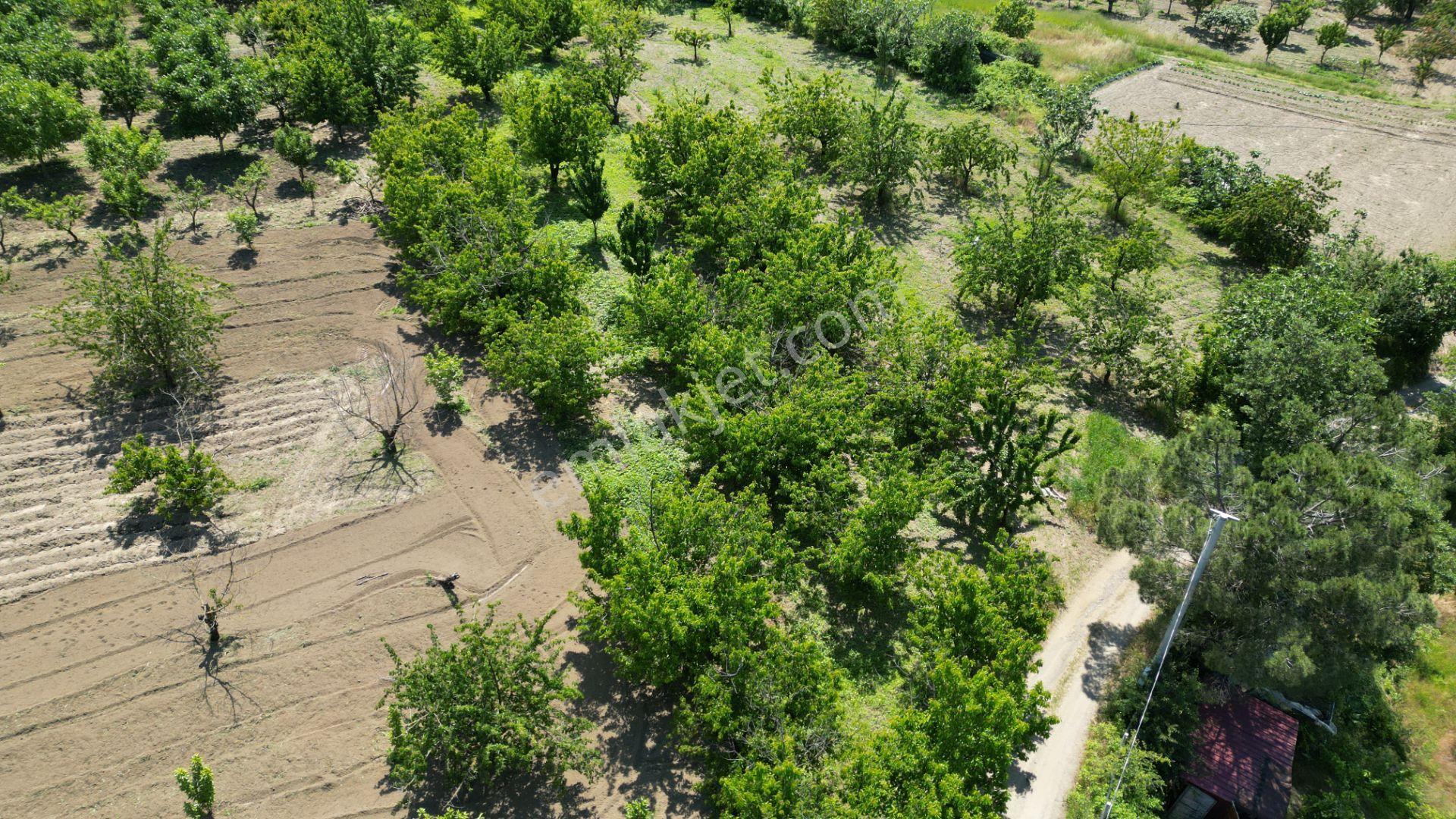 Uzmanlar'dan Karamürsel Akçat 1440 M2 %5 İmarlı Satılık Meyve Bahçesi - Görsel 19