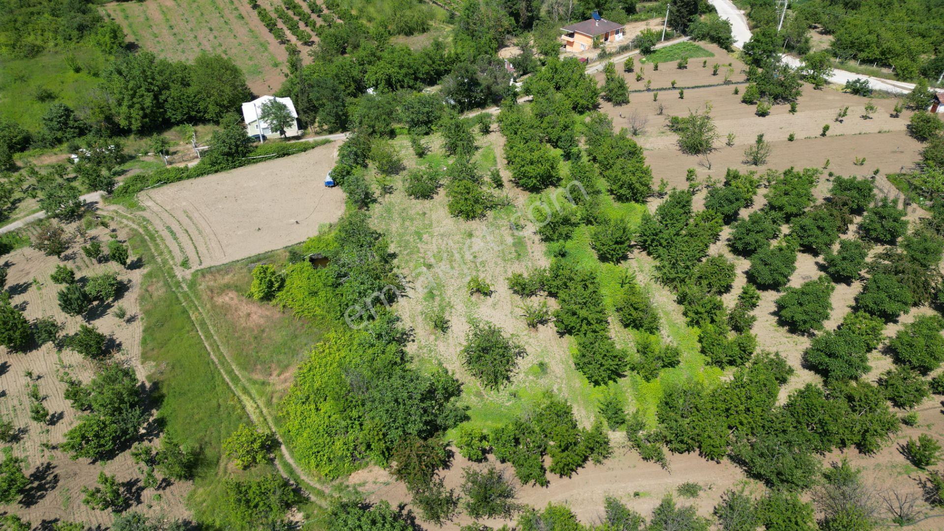 Uzmanlar'dan Karamürsel Akçat 1440 M2 %5 İmarlı Satılık Meyve Bahçesi - Görsel 16