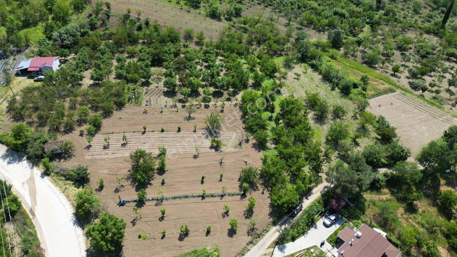 Uzmanlar'dan Karamürsel Akçat 1440 M2 %5 İmarlı Satılık Meyve Bahçesi - Görsel 15