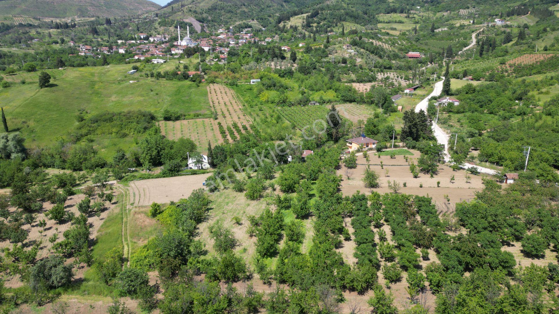 Uzmanlar'dan Karamürsel Akçat 1440 M2 %5 İmarlı Satılık Meyve Bahçesi - Görsel 13