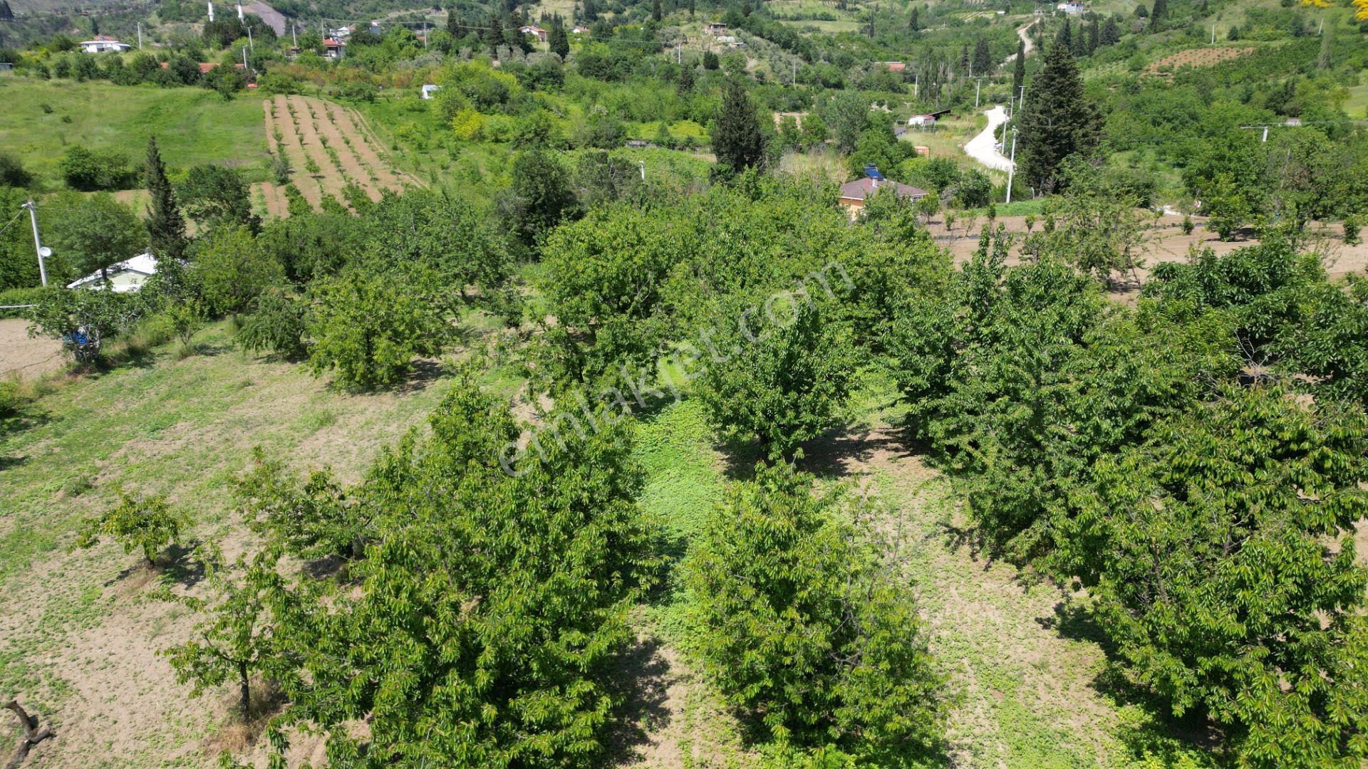 Uzmanlar'dan Karamürsel Akçat 1440 M2 %5 İmarlı Satılık Meyve Bahçesi - Görsel 17