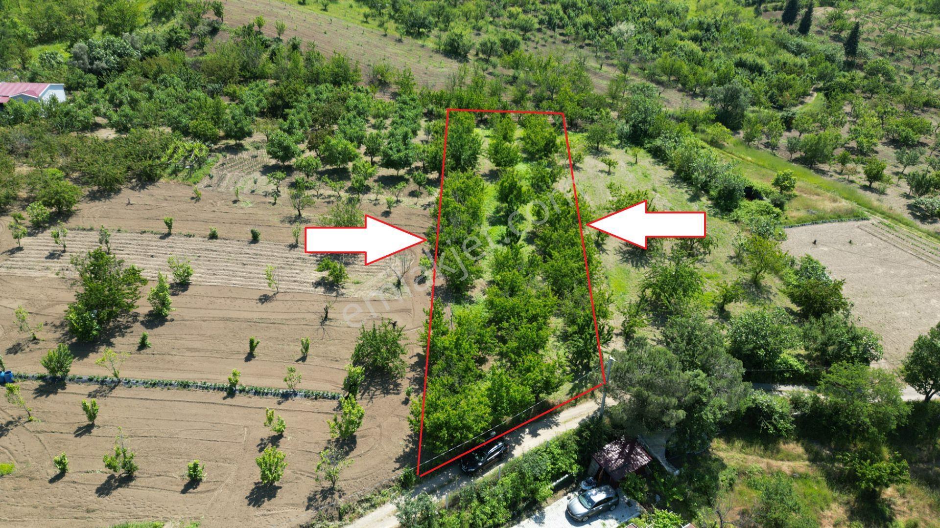Uzmanlar'dan Karamürsel Akçat 1440 M2 %5 İmarlı Satılık Meyve Bahçesi