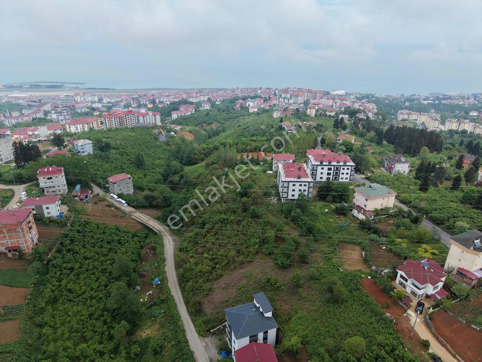 Vıp Real Estate Pelitli Yeşilköyde 313m2 Satılık Arsa - Görsel 19