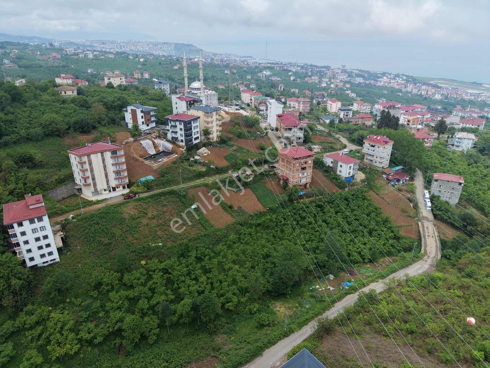Vıp Real Estate Pelitli Yeşilköyde 313m2 Satılık Arsa - Görsel 10