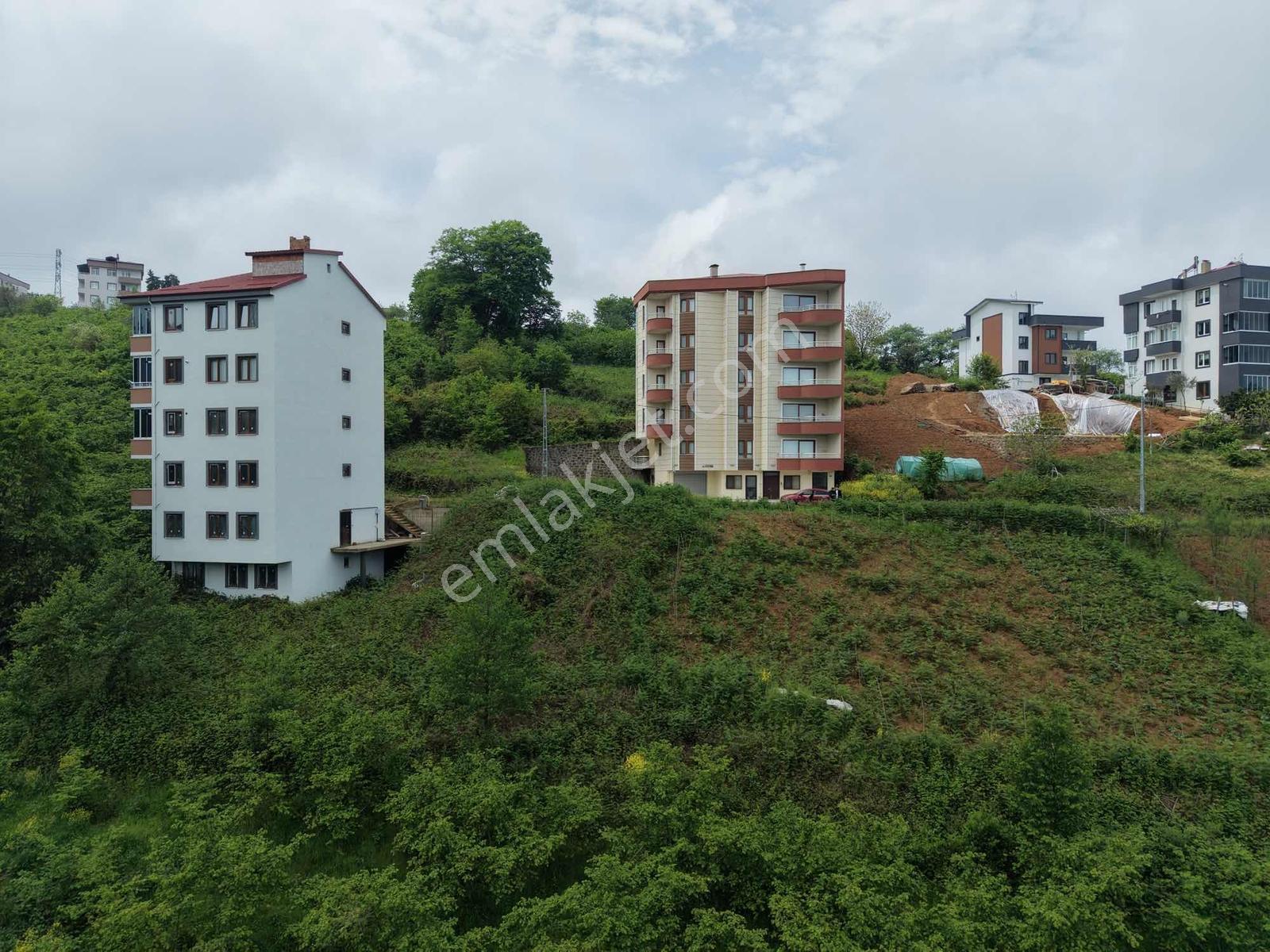 Vıp Real Estate Pelitli Yeşilköyde 313m2 Satılık Arsa - Görsel 15