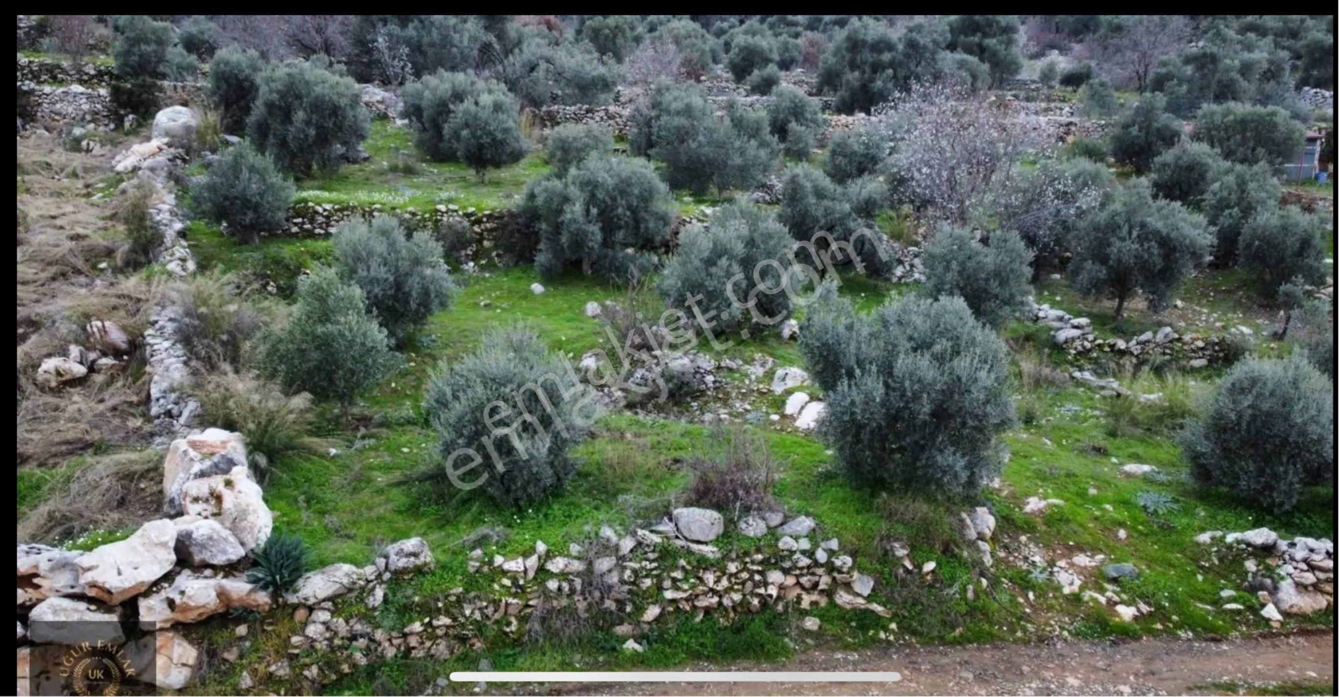 Bölgenin En İyi Arsası - Görsel 23