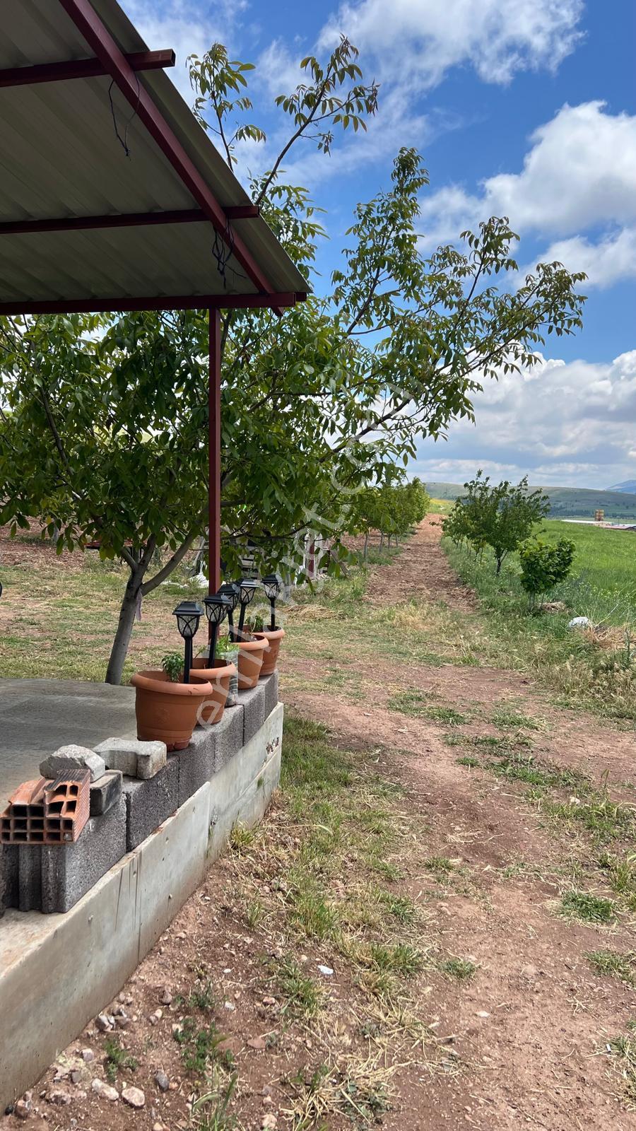 Kaan Emlaktan Burdur Yeşilovada Satılık Cevizlik Bahçe - Görsel 12