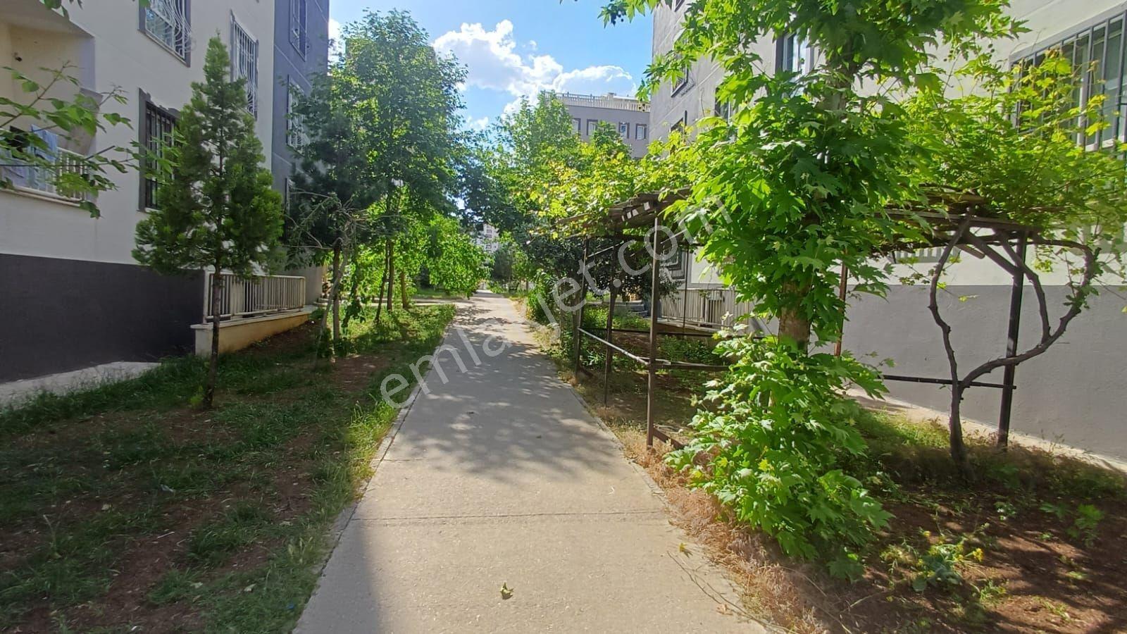 Güzel Emlak Tan İskanlı Daire - Görsel 21