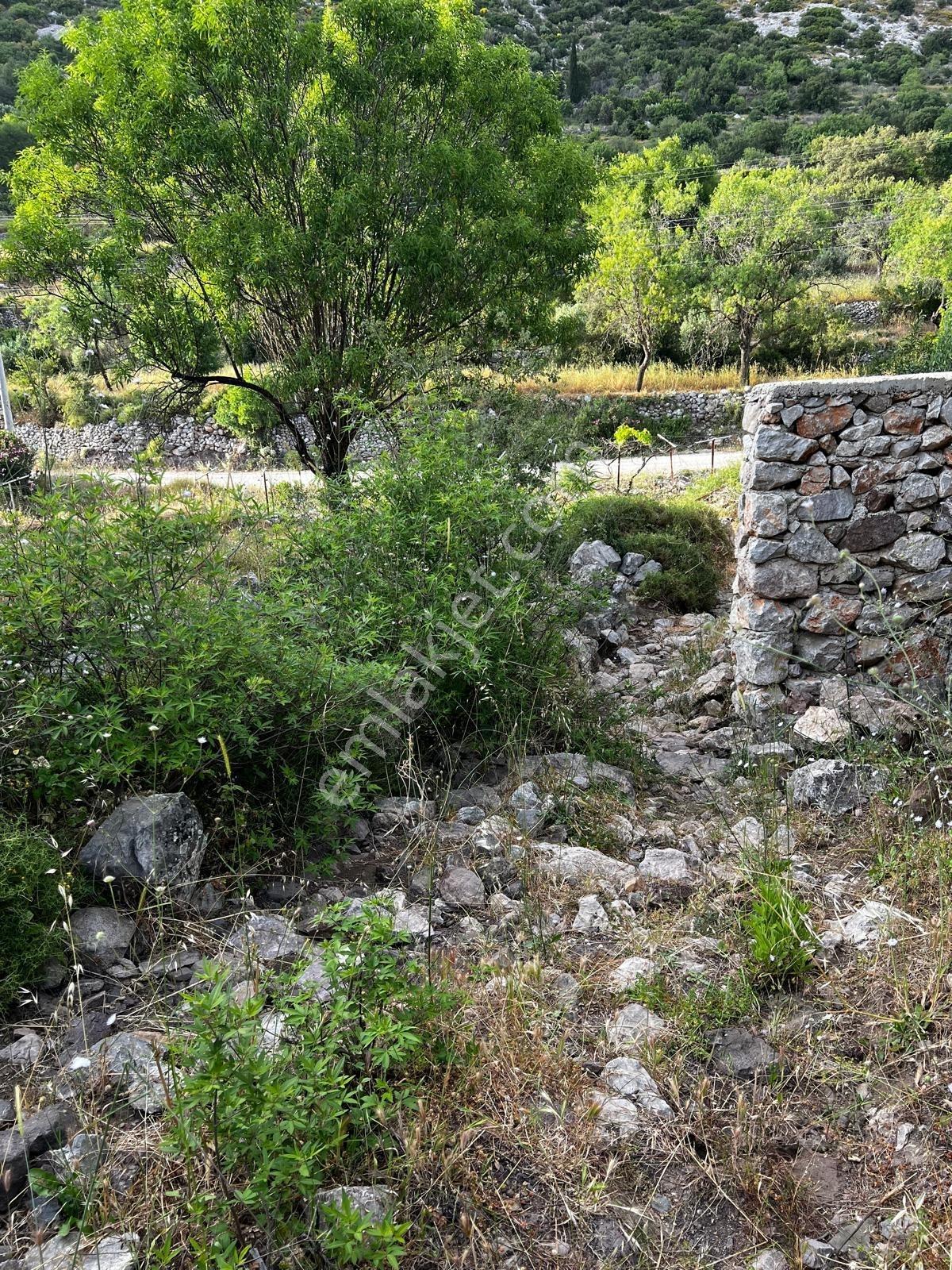 Muğla Marmaris Söğüt Te Bahçelide Satılık 494m2 Tarla - Görsel 8