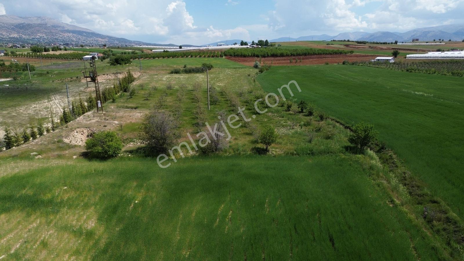 Vip Gayrimenkul'den Kocapınar Mah. 3.160m² Tarla - Görsel 11