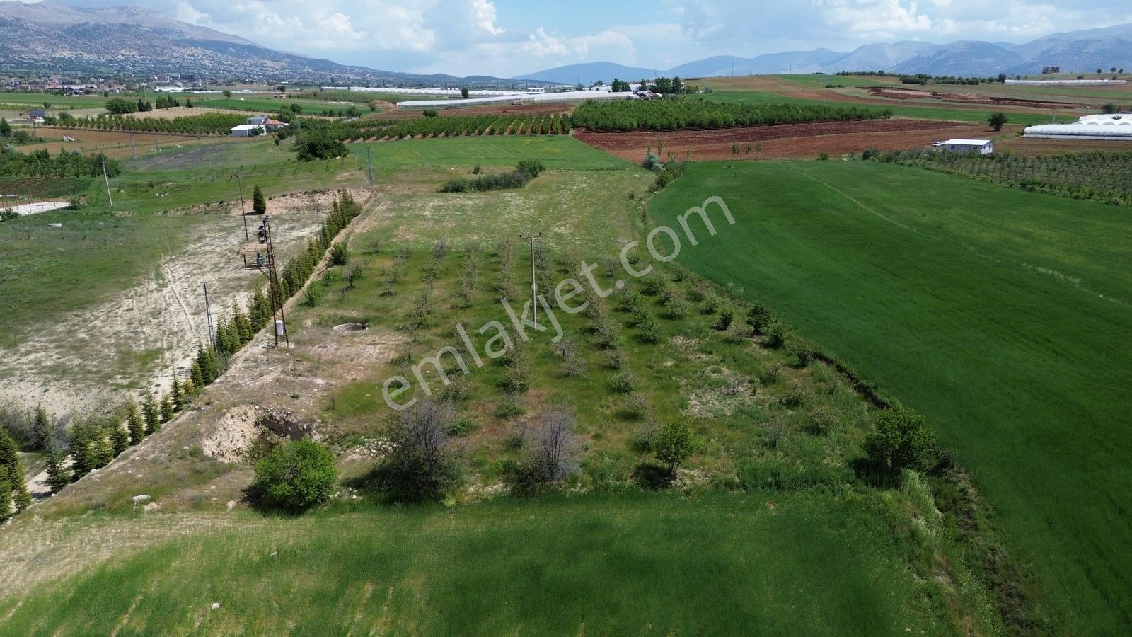 Vip Gayrimenkul'den Kocapınar Mah. 3.160m² Tarla - Görsel 10