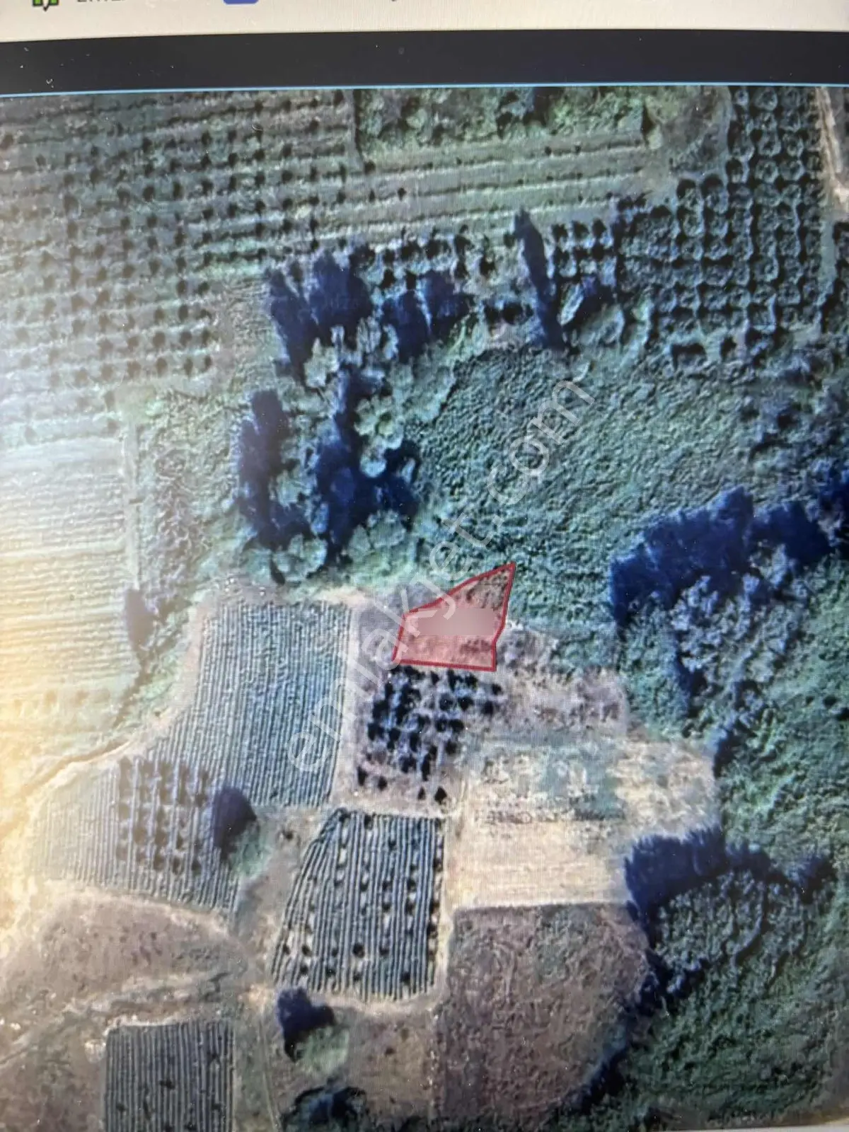 Remax-hür Müge Aydaş'tan Sakarya Turgutlu Mah.satılık Tarla - Görsel 3