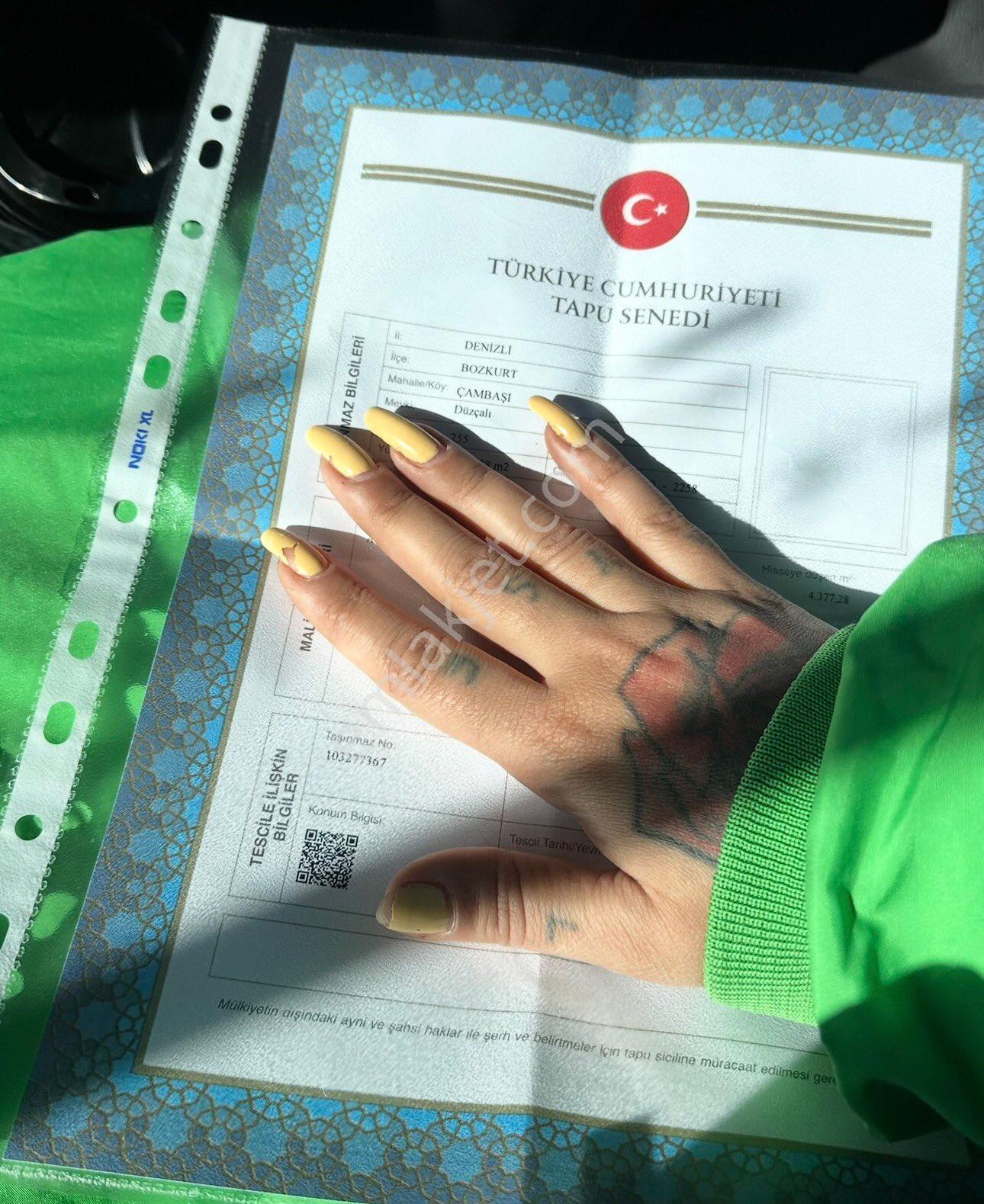 Bozkurt Çambaşı Tarla - Görsel 9