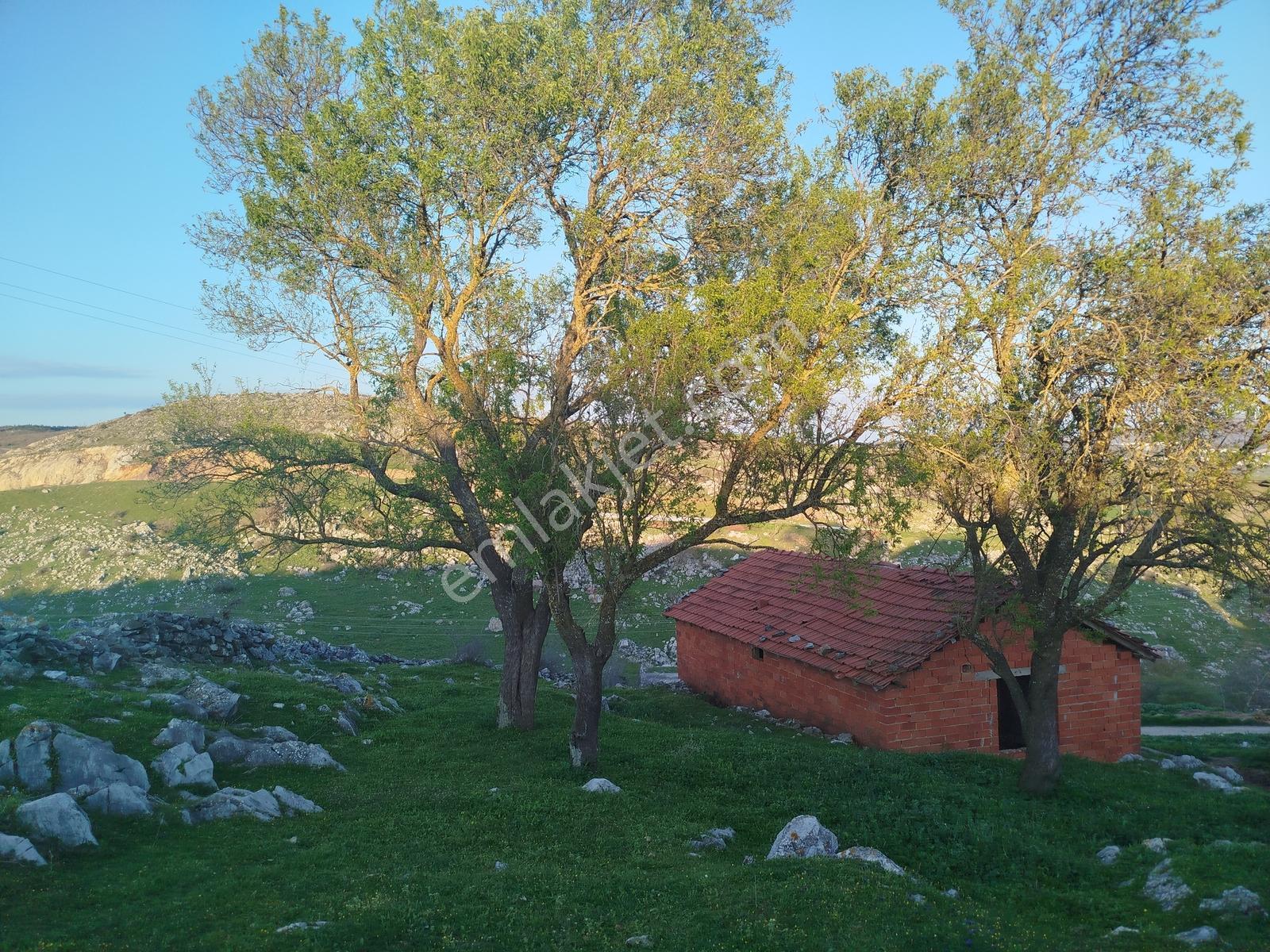 Karesi Naiplide Hem Doğa Hem Şehir Bir Arada - Görsel 25