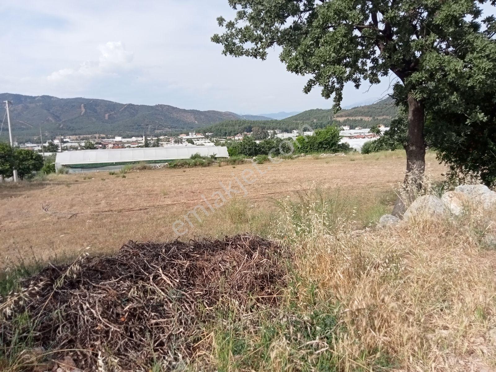 Falcon Dan Bozyer De Muhteşem 1000m² Elektrik Abonelik Tarla - Görsel 30