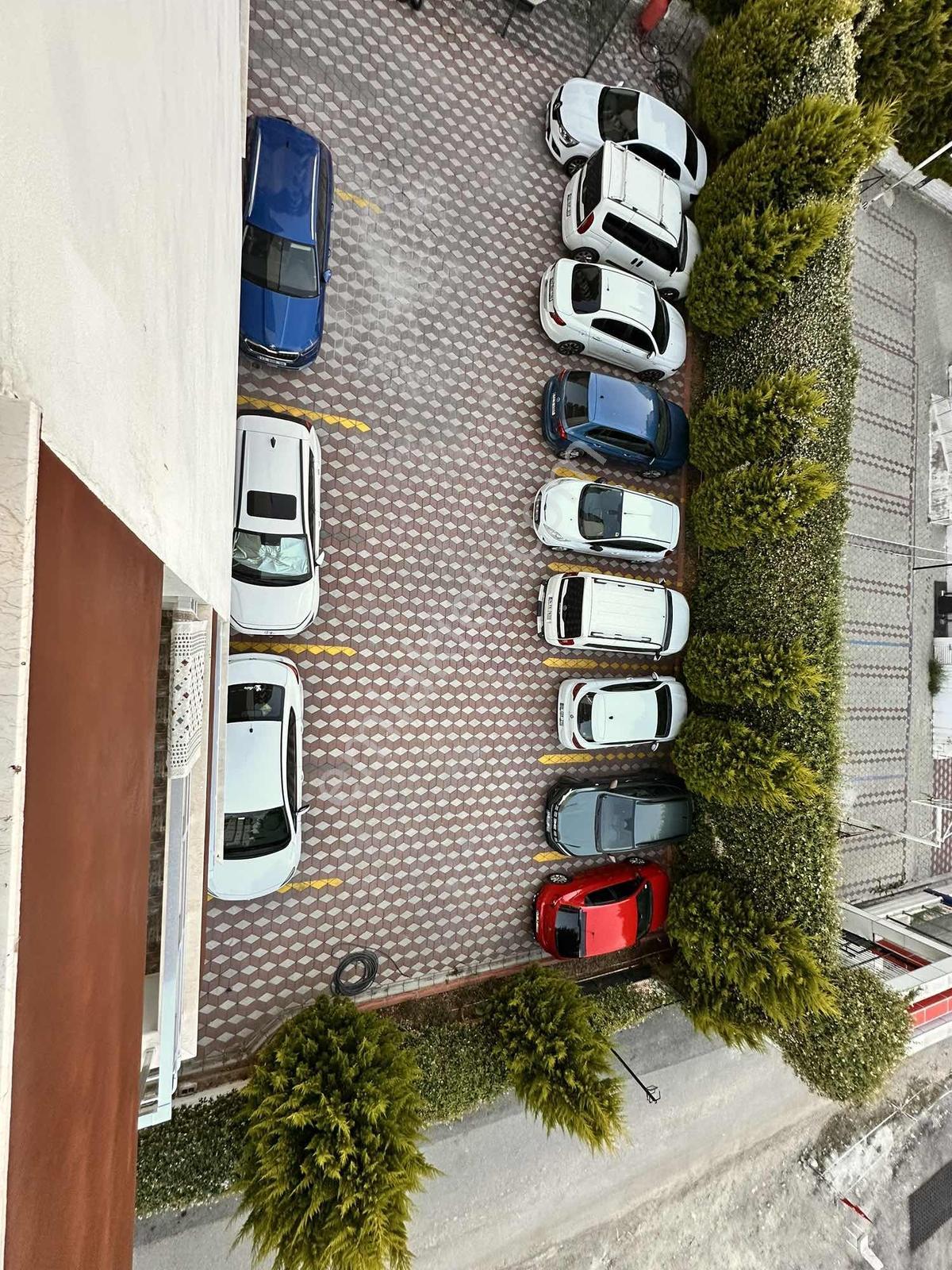 Avax:tan Kiralık 2,5+1 Geniş Daire - Görsel 22