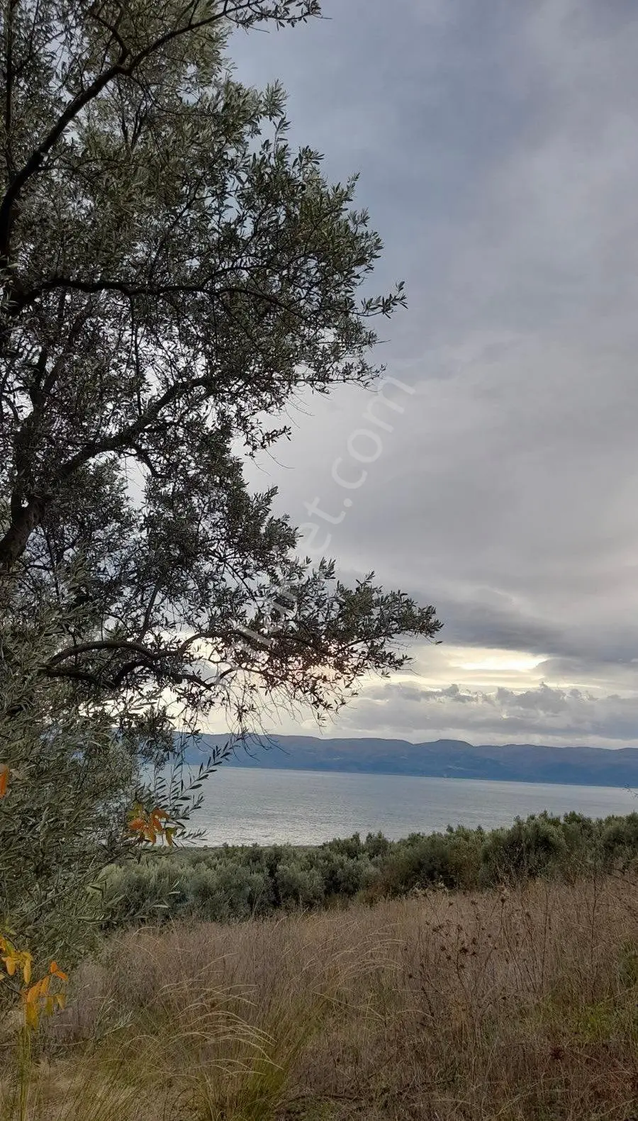 Roma’ Dan Boyalıca Mahallesi’ Nde Satılık Tarla - Görsel 5