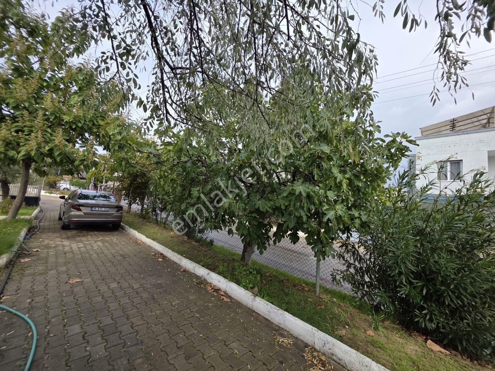 Acil Eşyalı, Eşyasız 300m² Arsalı Havuz,doğa Manzaralı 3+1 Villa - Görsel 26